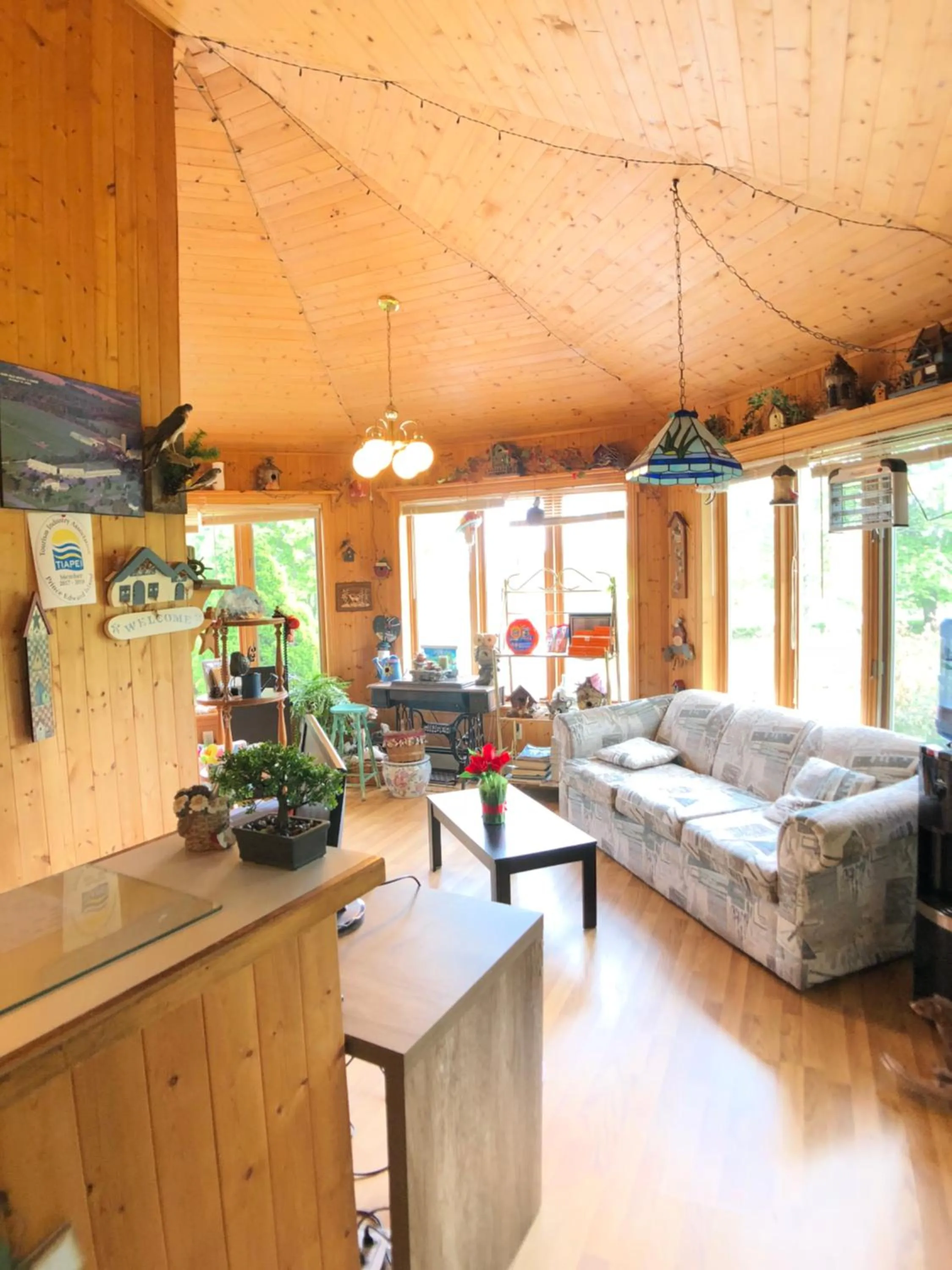 Lobby or reception, Bed in Fair Isle Motel