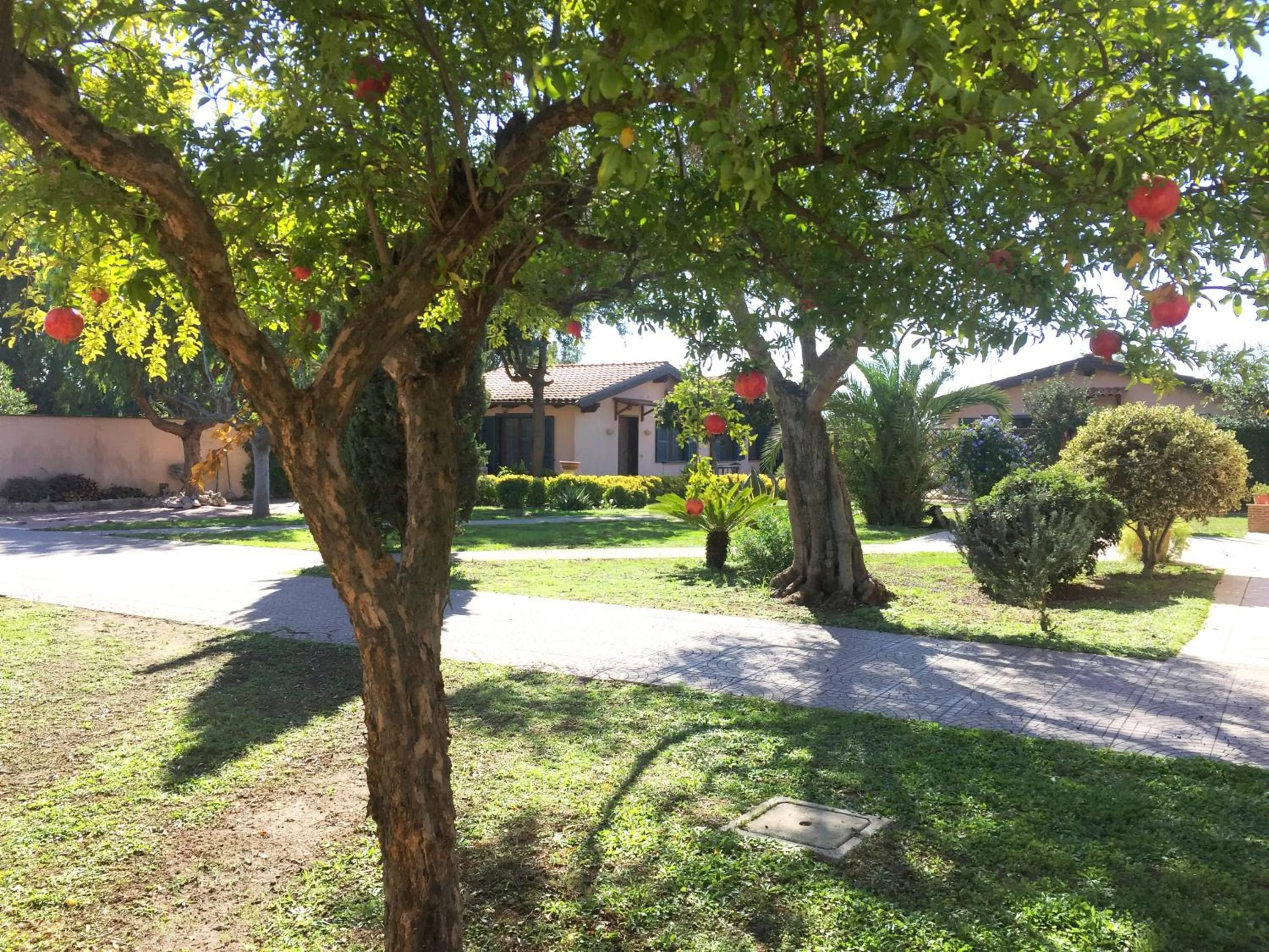 Domus Leonardo-Private Free Parking