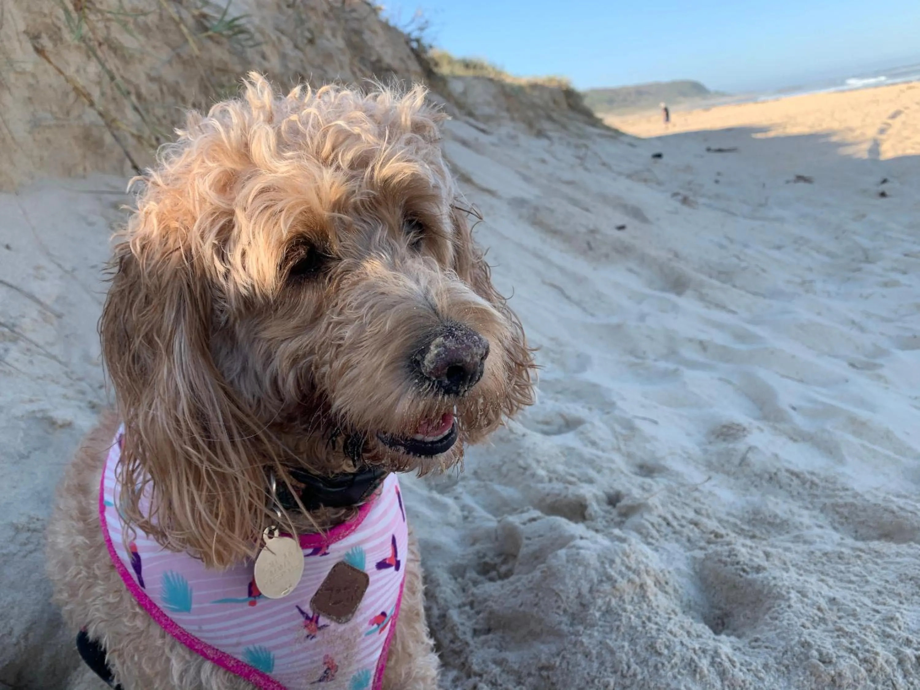 Churchill's B&B twin spa getaway Studio