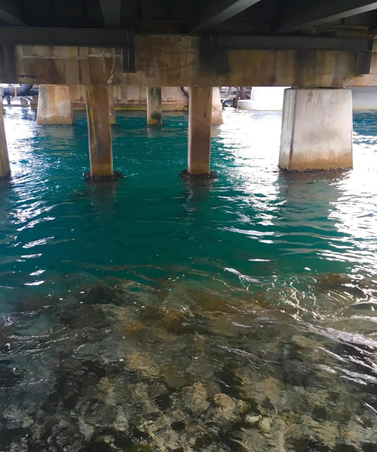 Natural landscape in Churchill's B&B twin spa getaway Studio