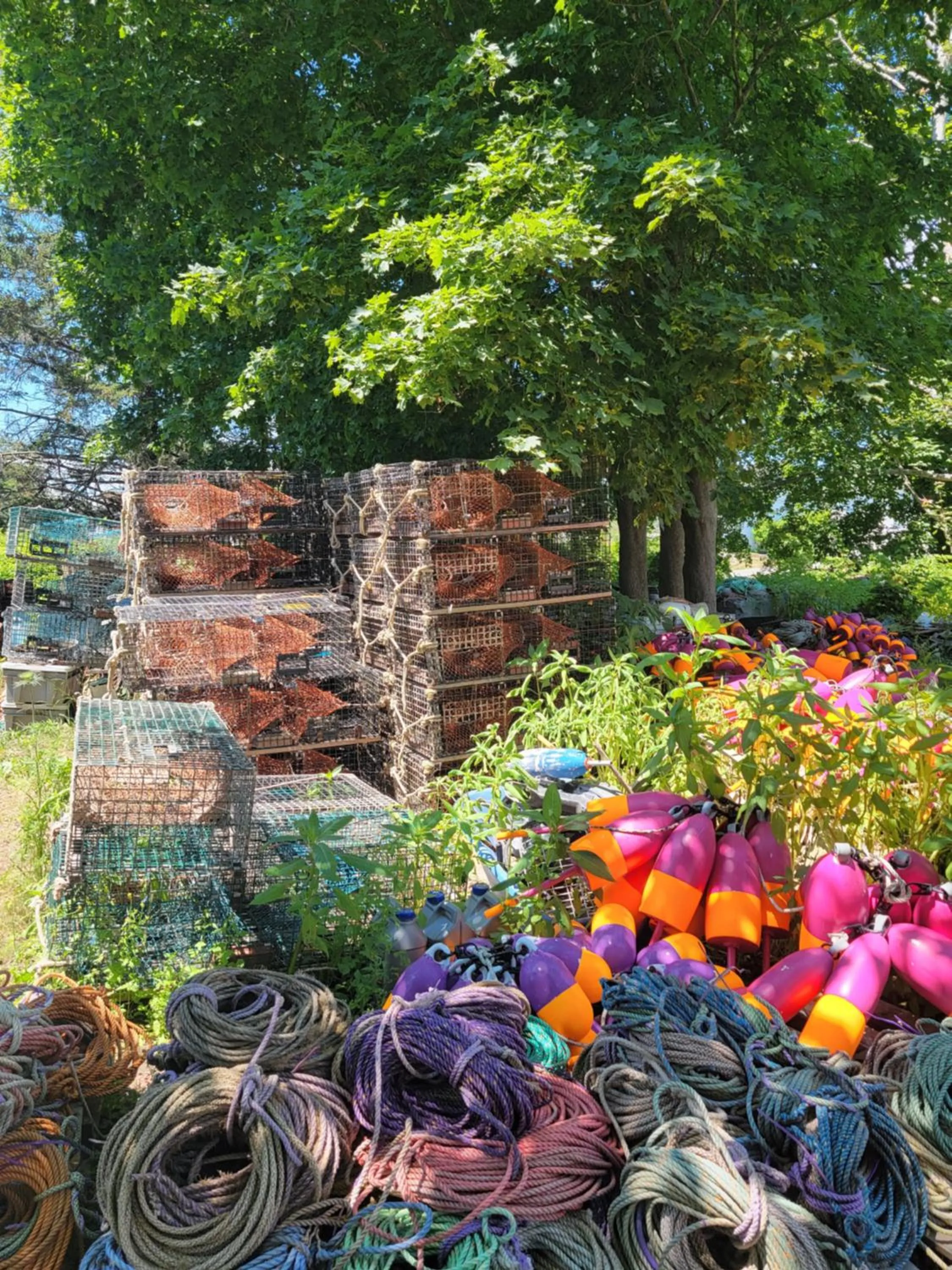 Nearby landmark in East Wind Inn & Suites