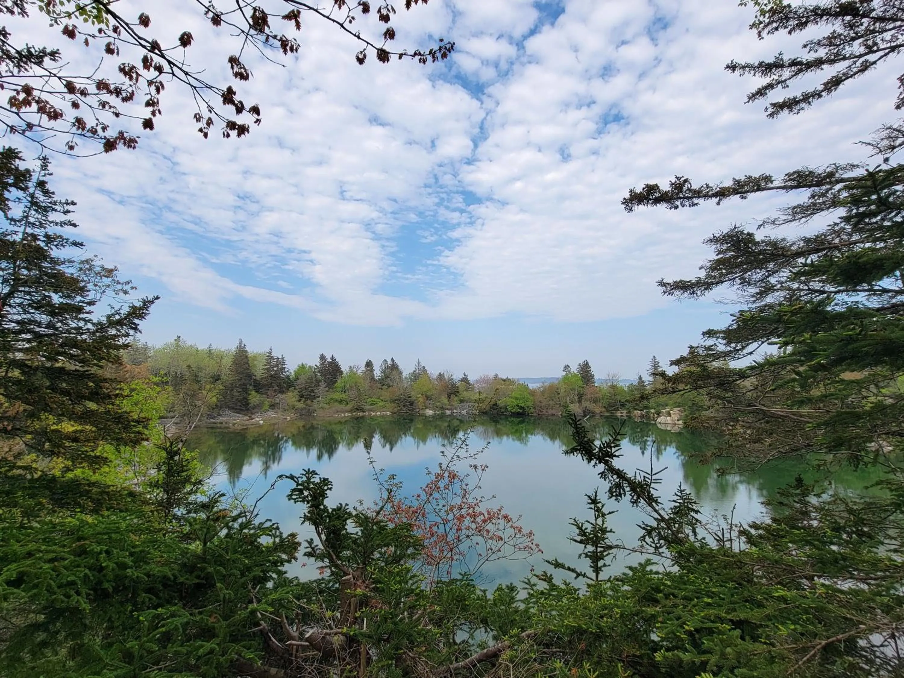 Entertainment in East Wind Inn & Suites