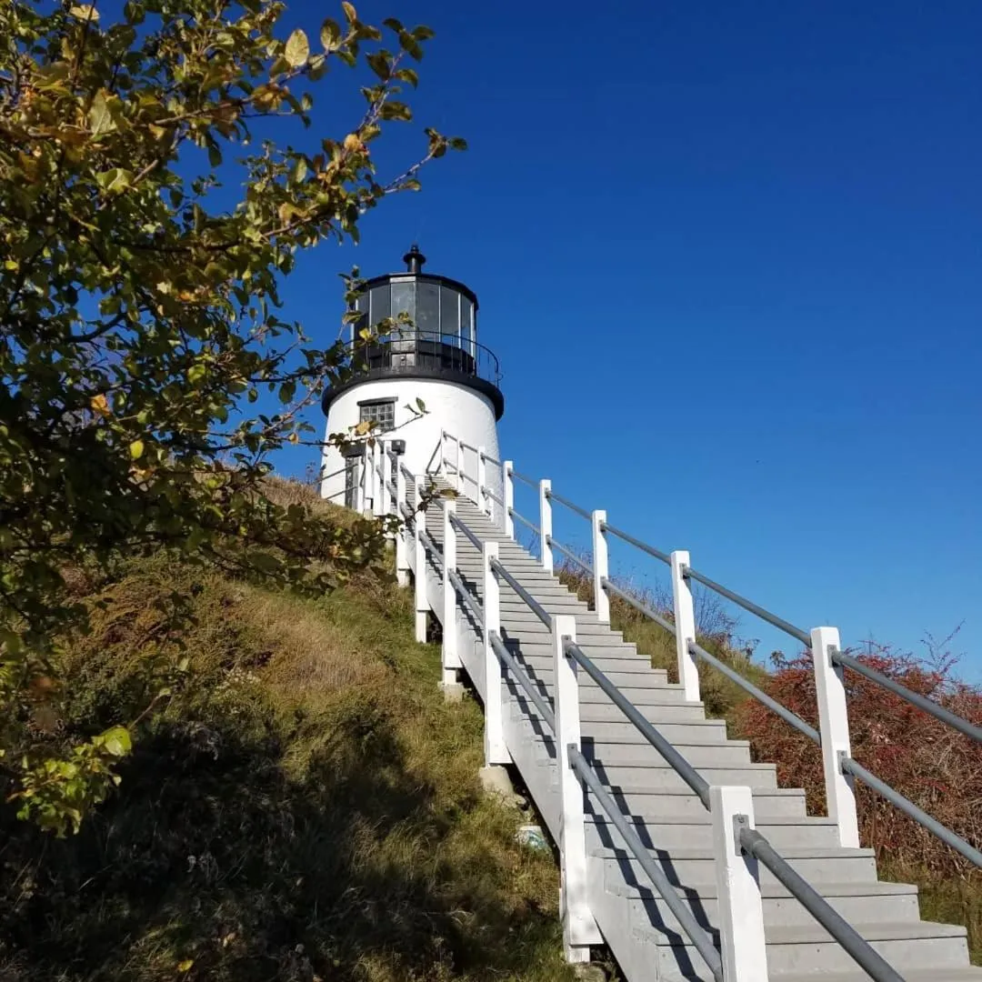 Entertainment in East Wind Inn & Suites