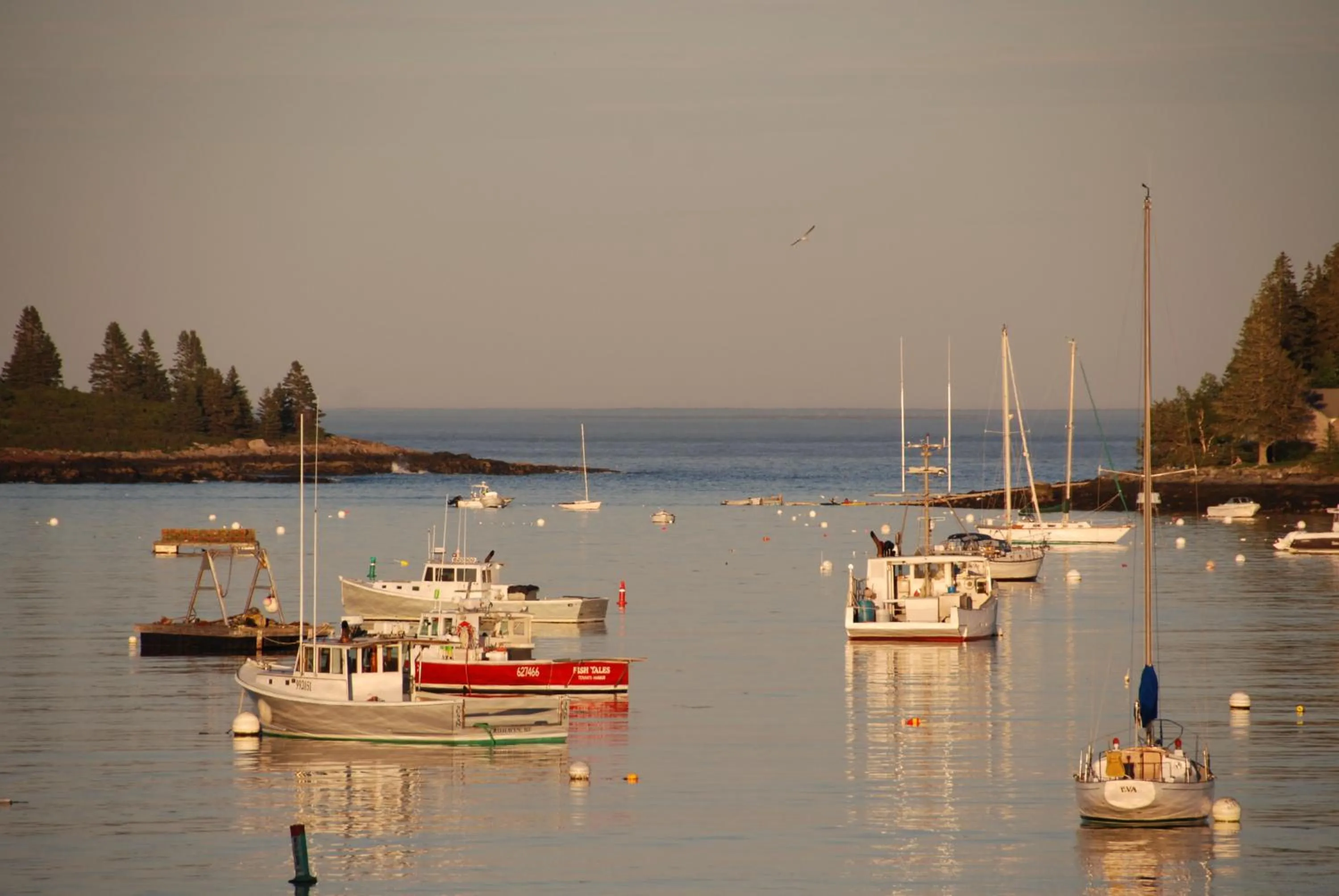 Sea view in East Wind Inn & Suites