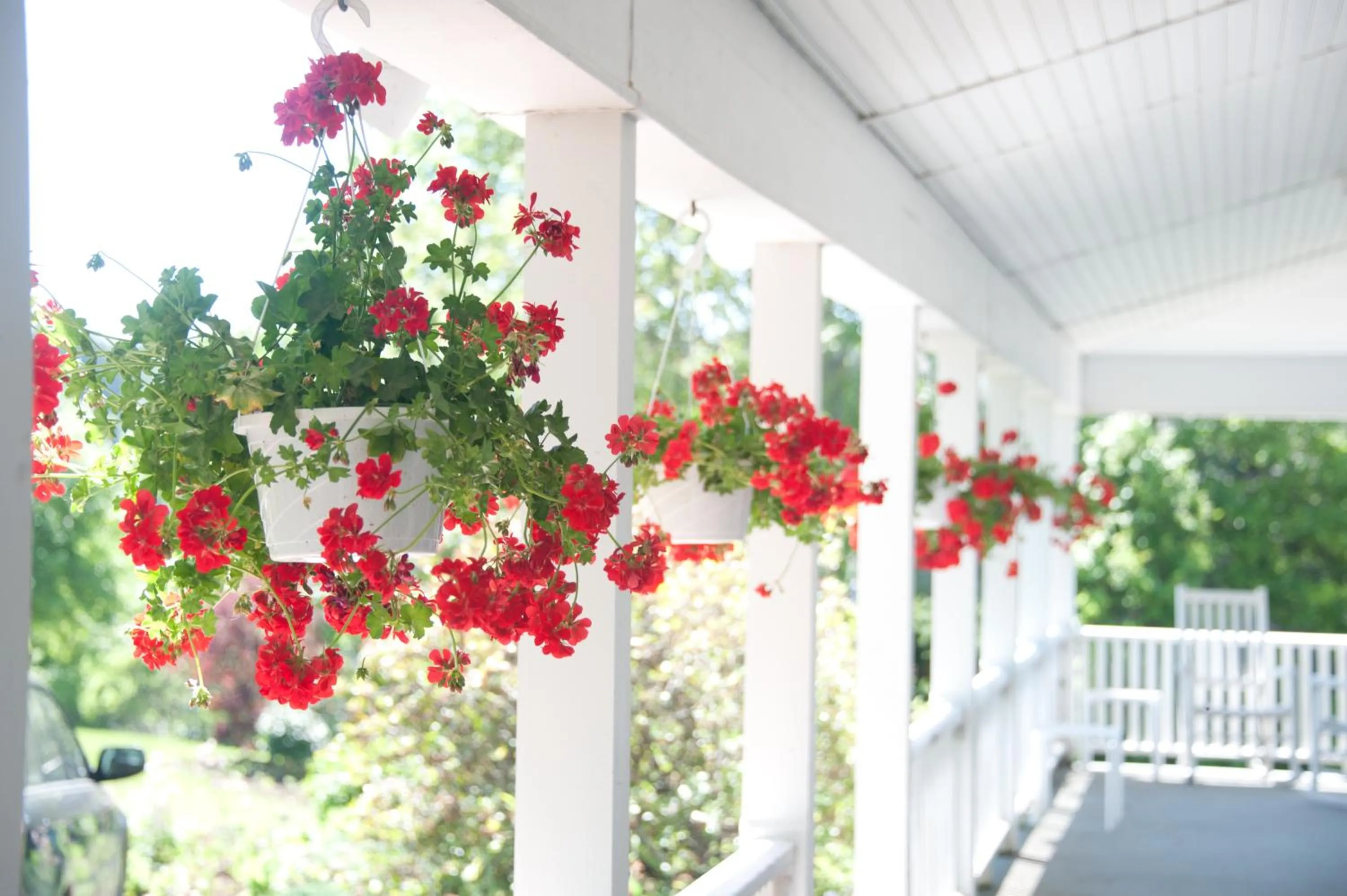 Balcony/Terrace in East Wind Inn & Suites