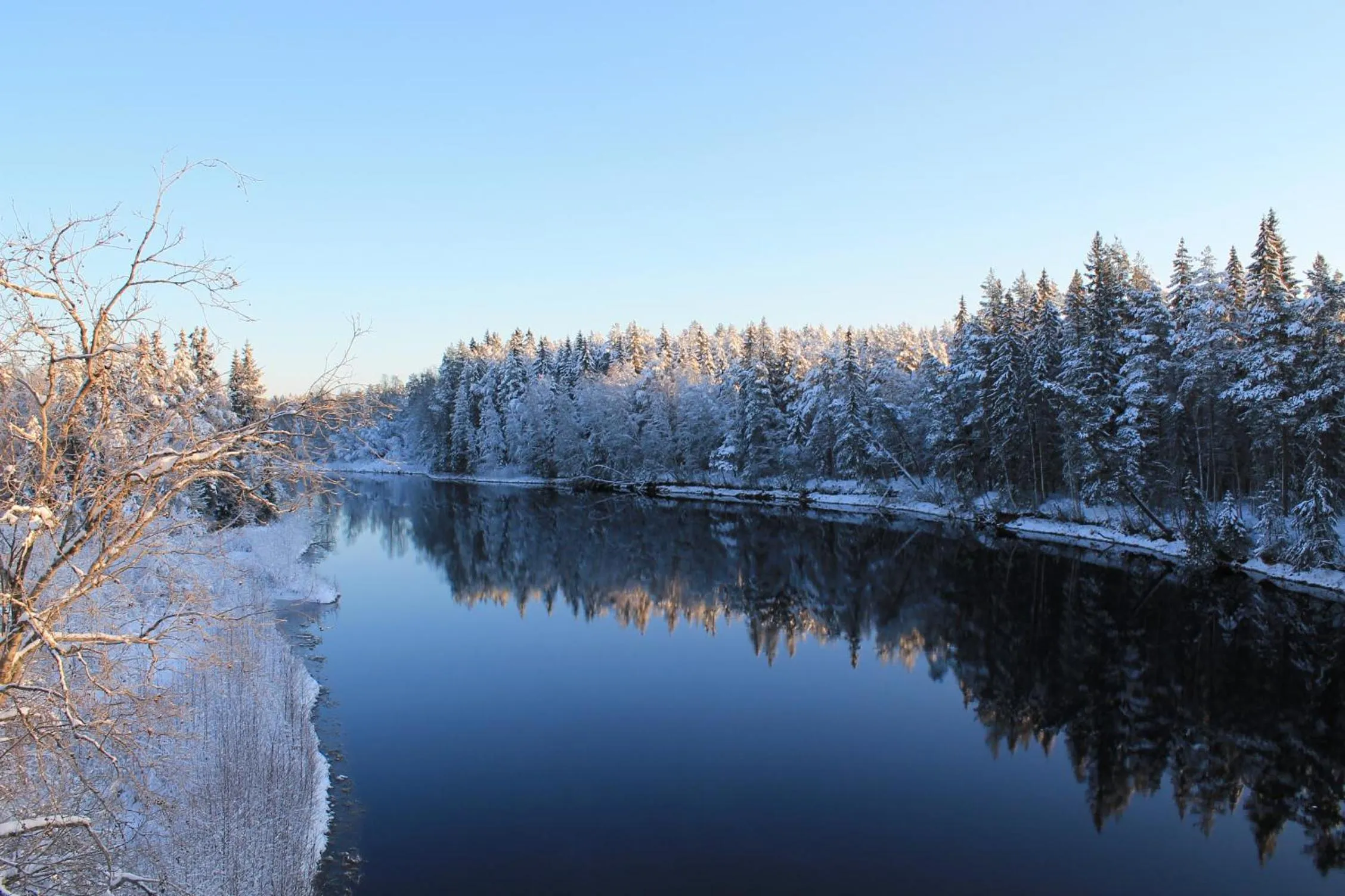 Natural landscape in Trunna Vandrarhem & Konferens