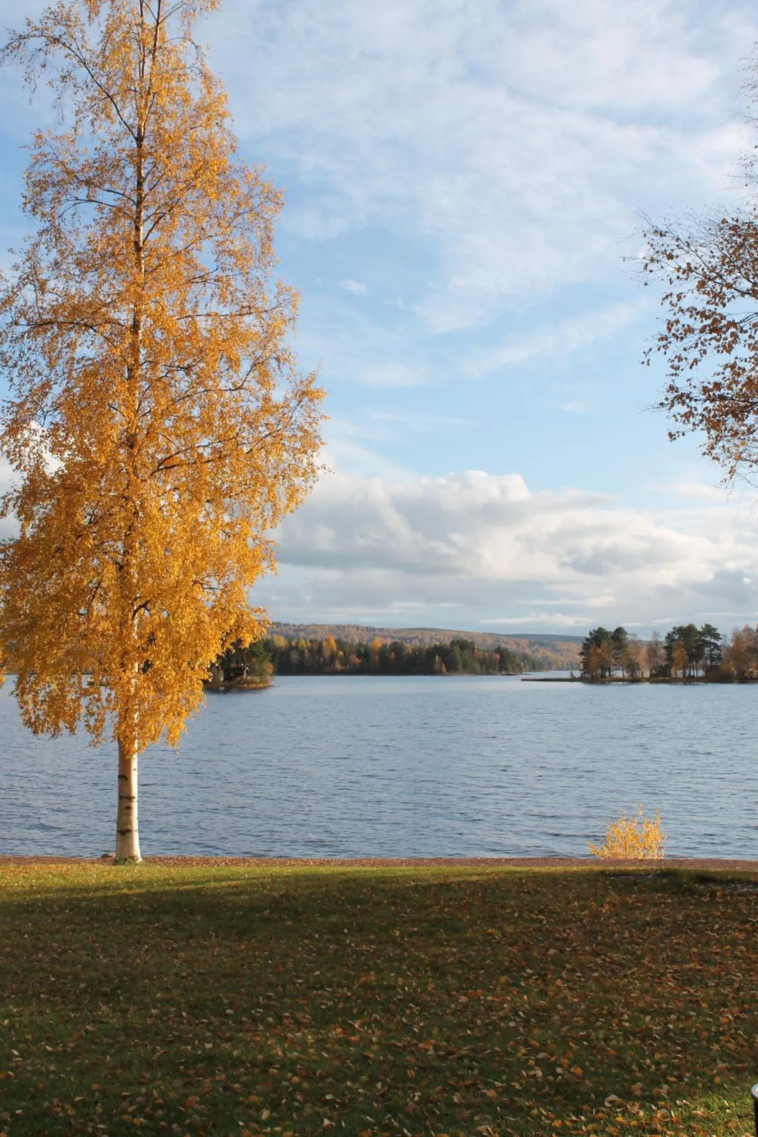 Natural landscape in Trunna Vandrarhem & Konferens