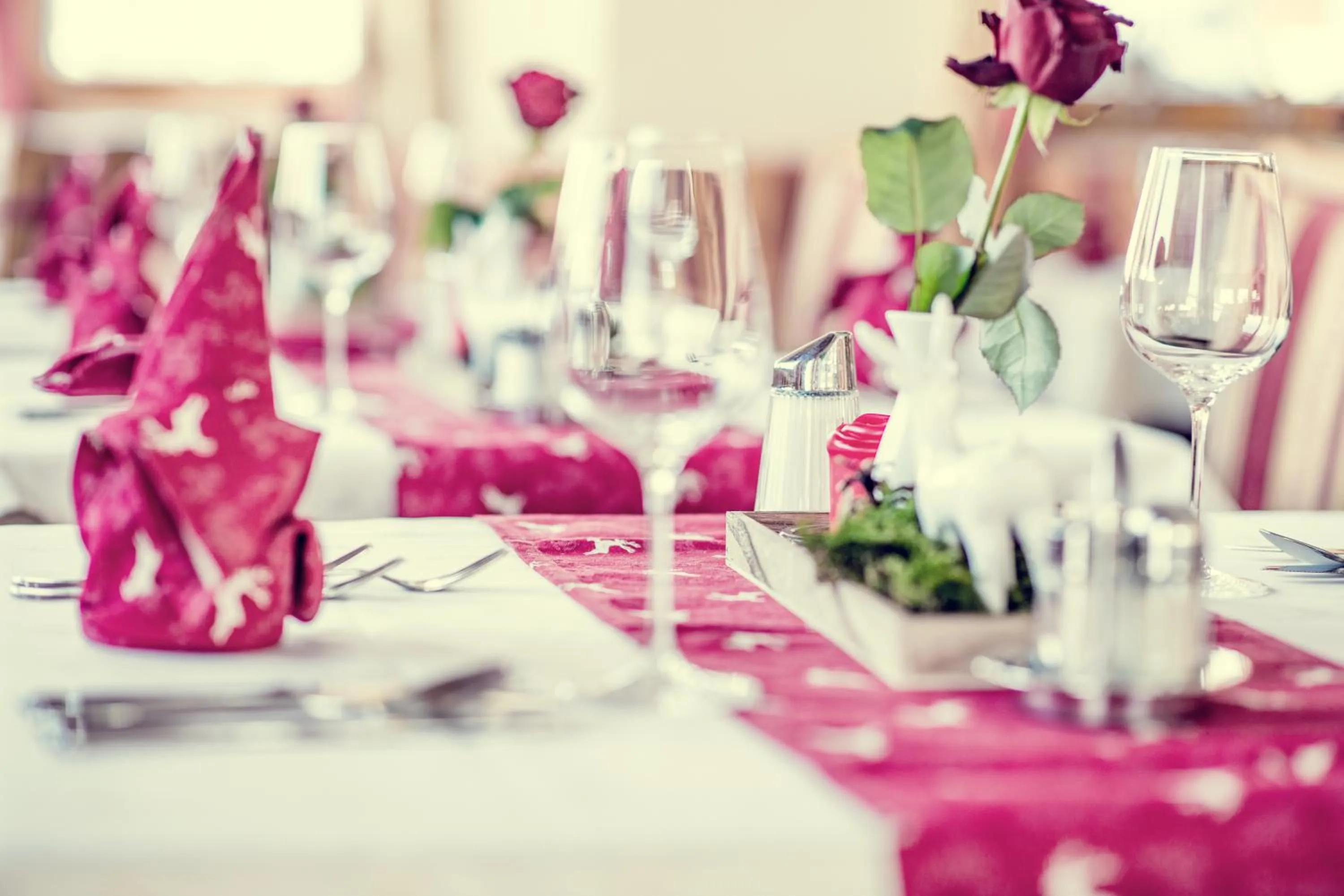 Restaurant/places to eat in Hotel Riedl