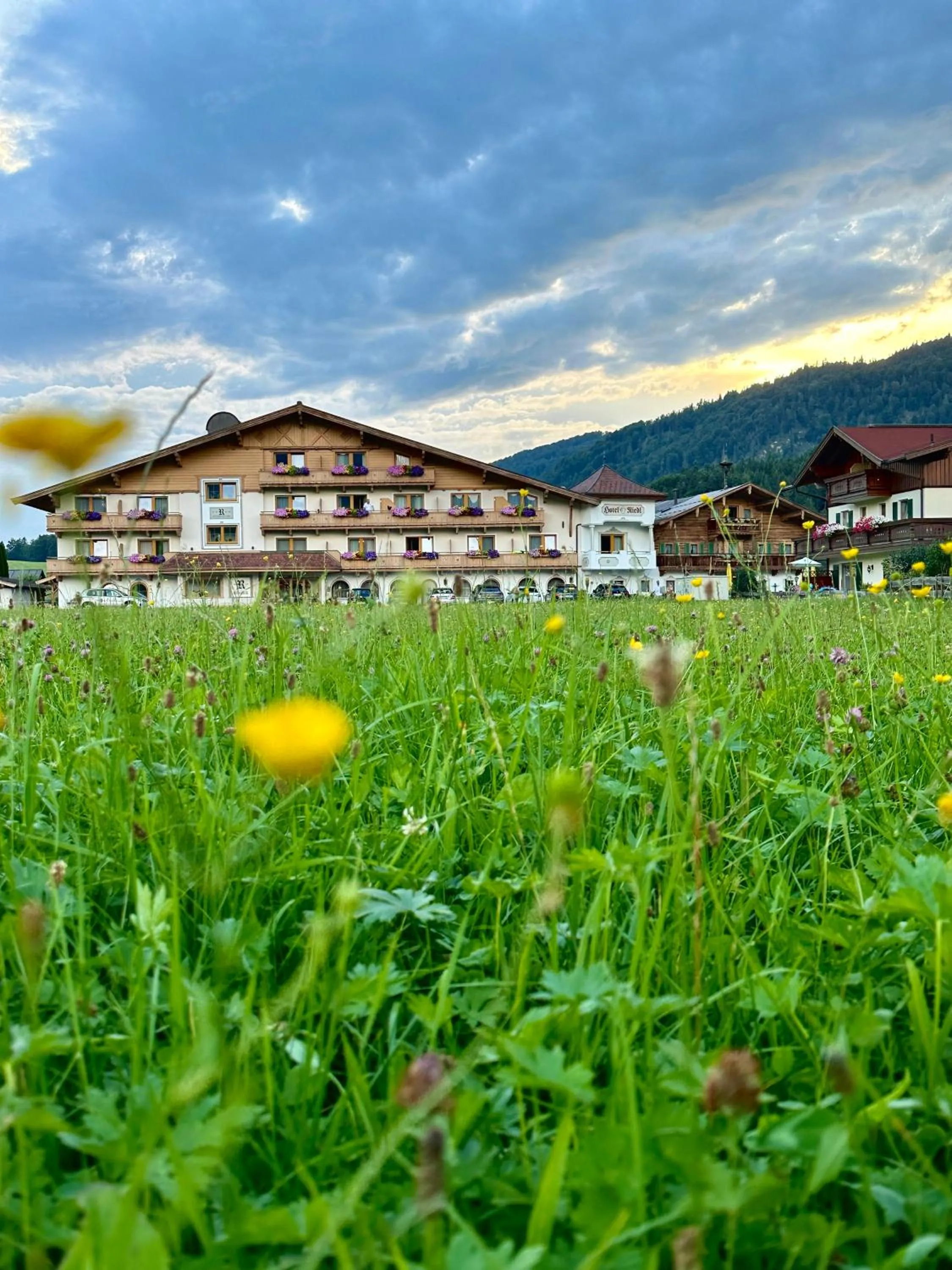 Property building in Hotel Riedl