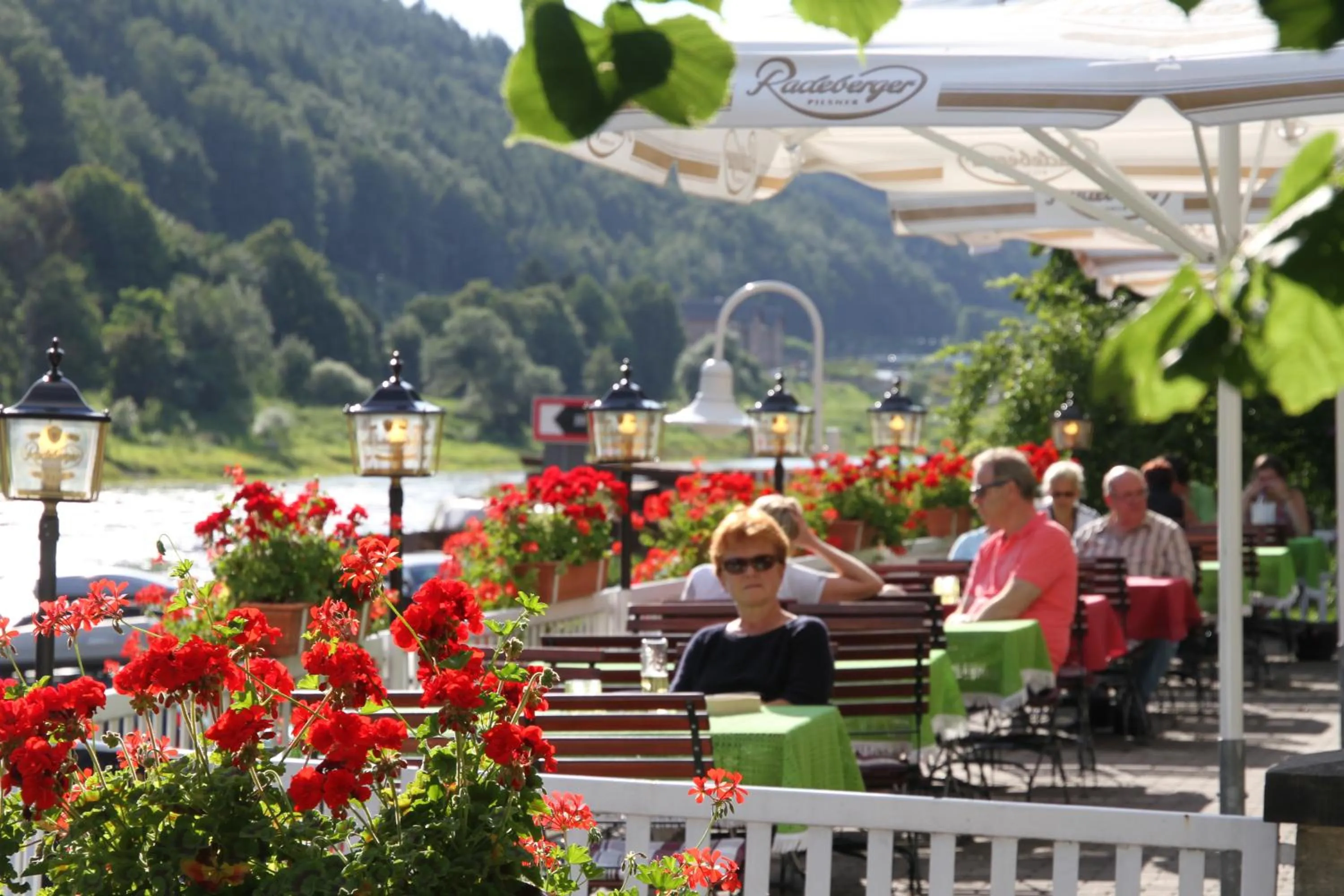 Garden in Elbhotel Bad Schandau