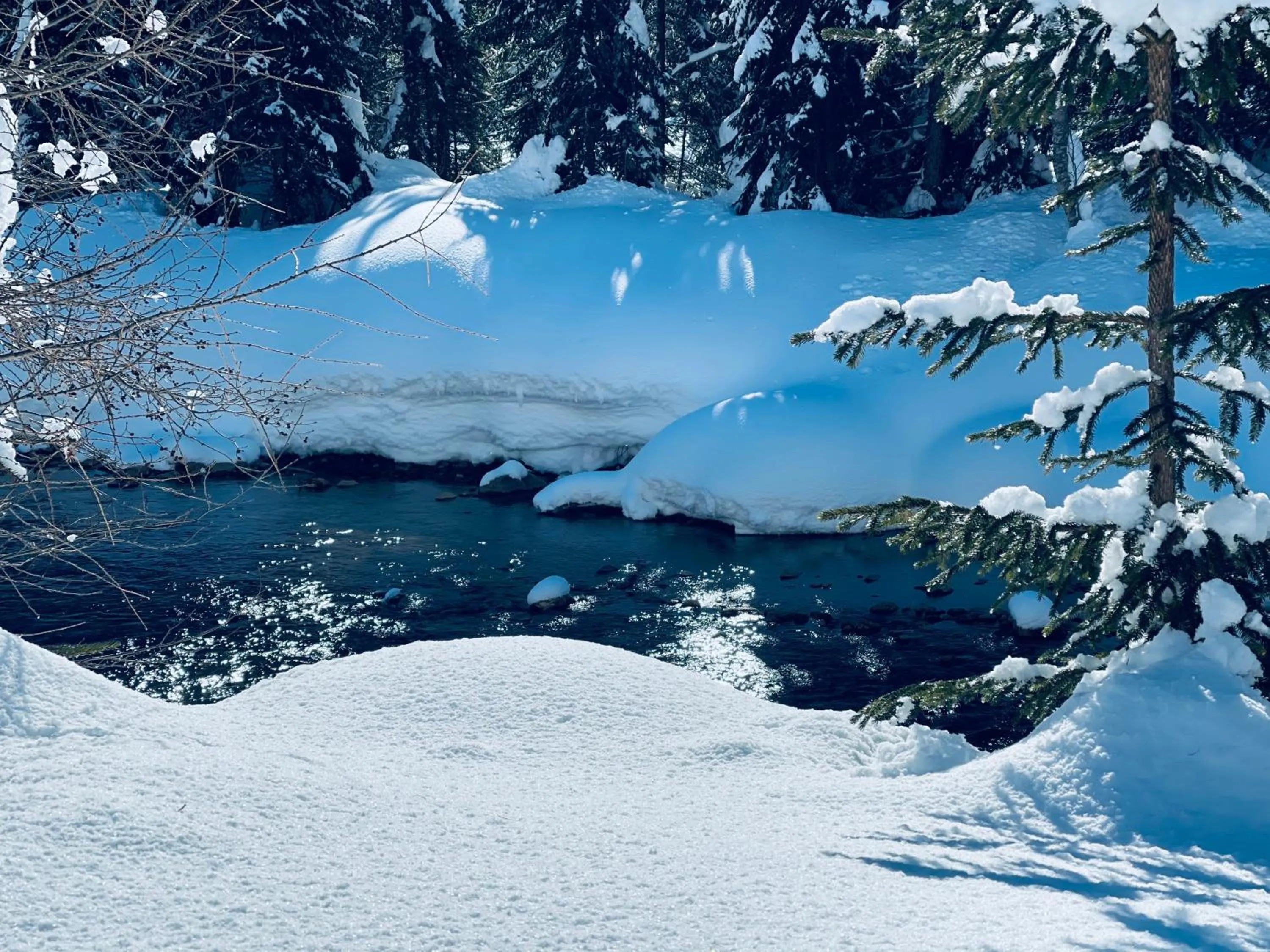 Natural landscape in Hotel Garni Burger