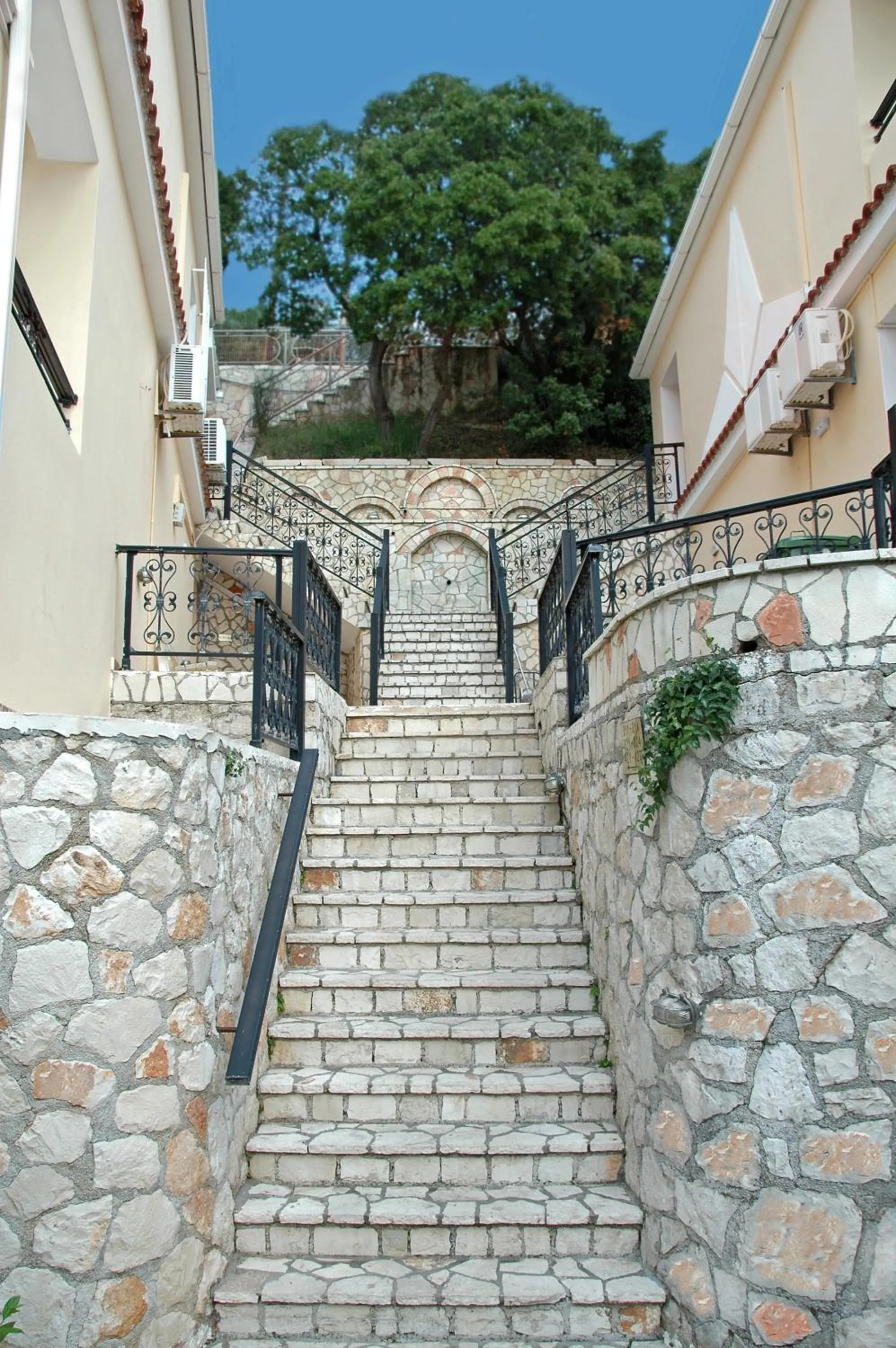 Garden in Zante Palace