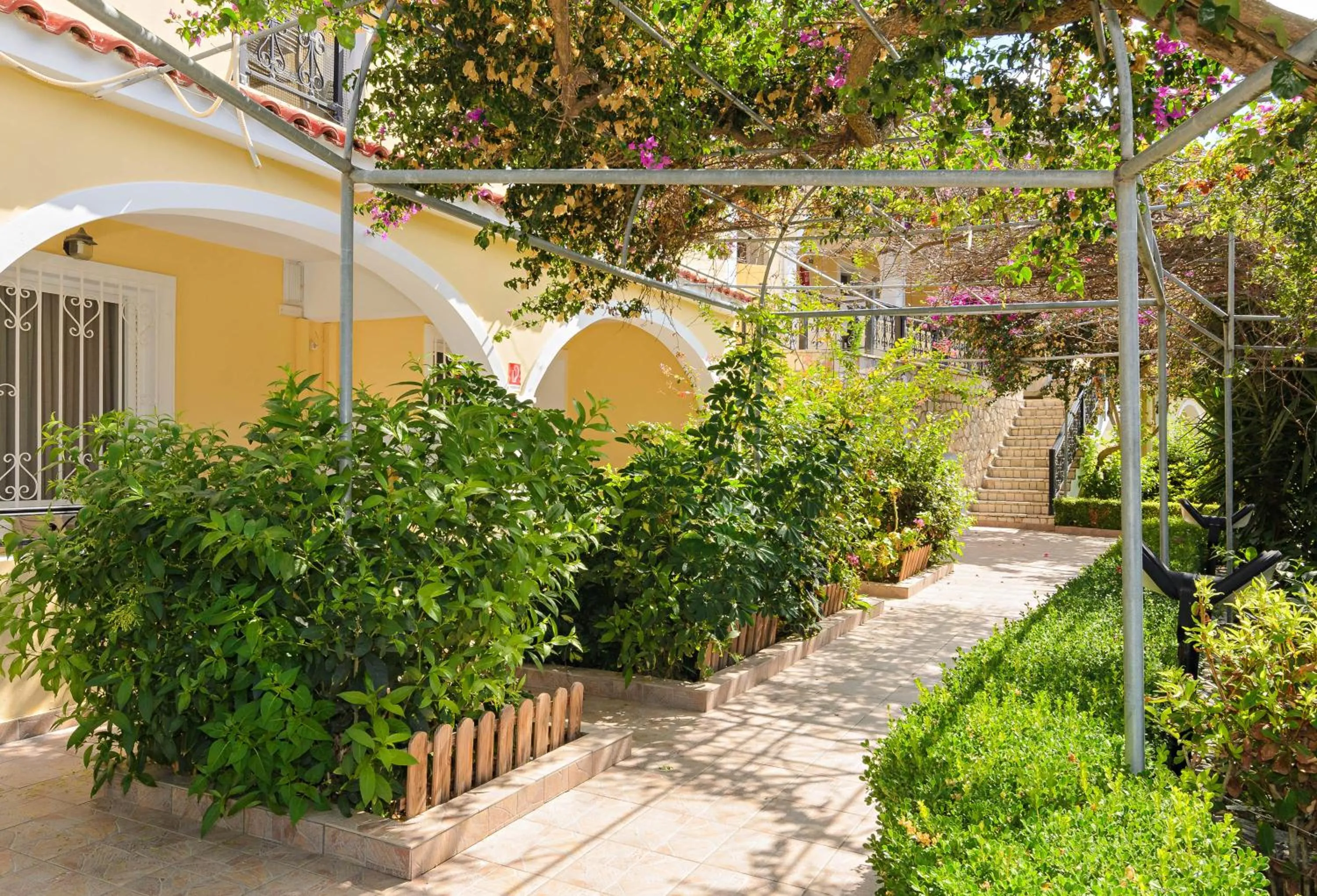 Garden in Zante Palace