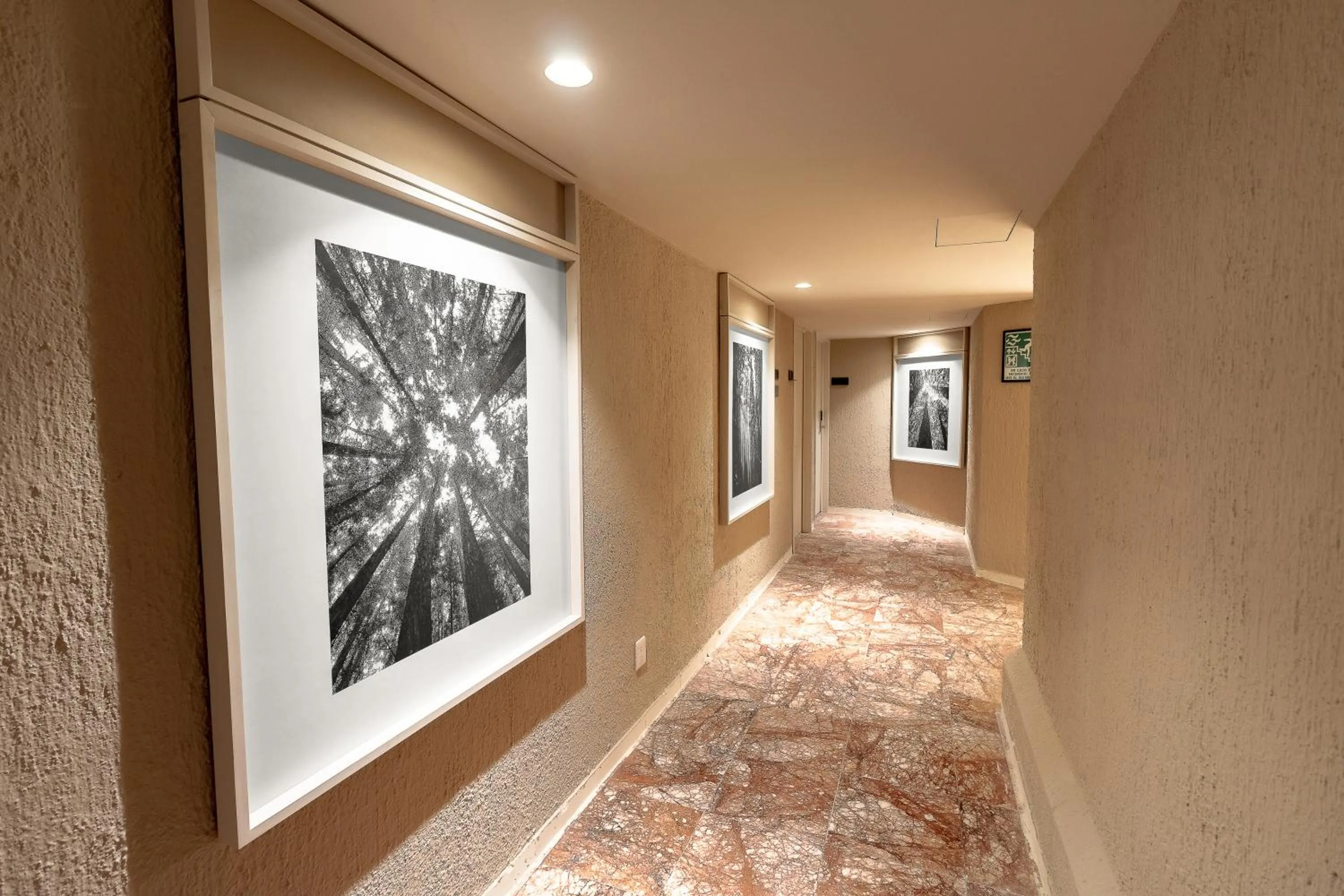 Decorative detail in Hotel Fuente Del Bosque