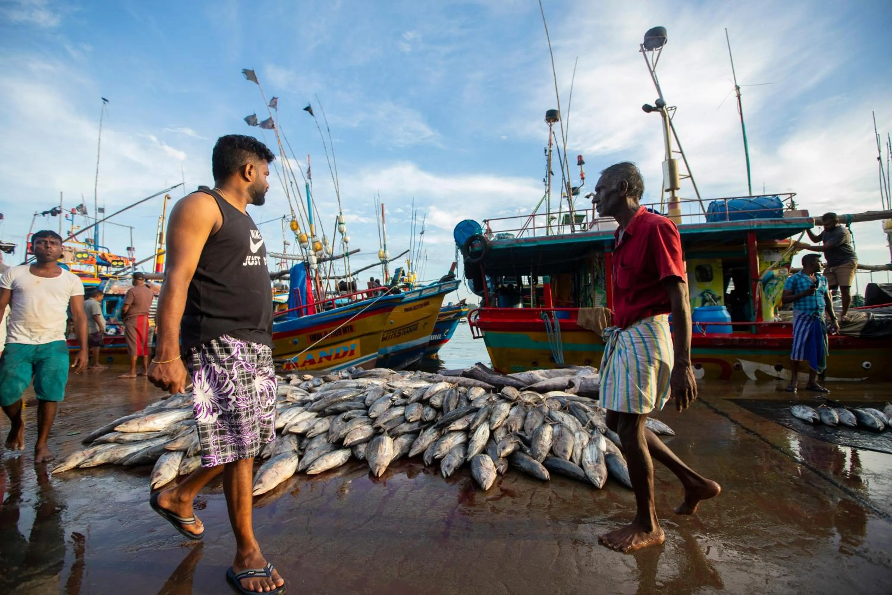 Fishing in Coastal Villa Mirissa