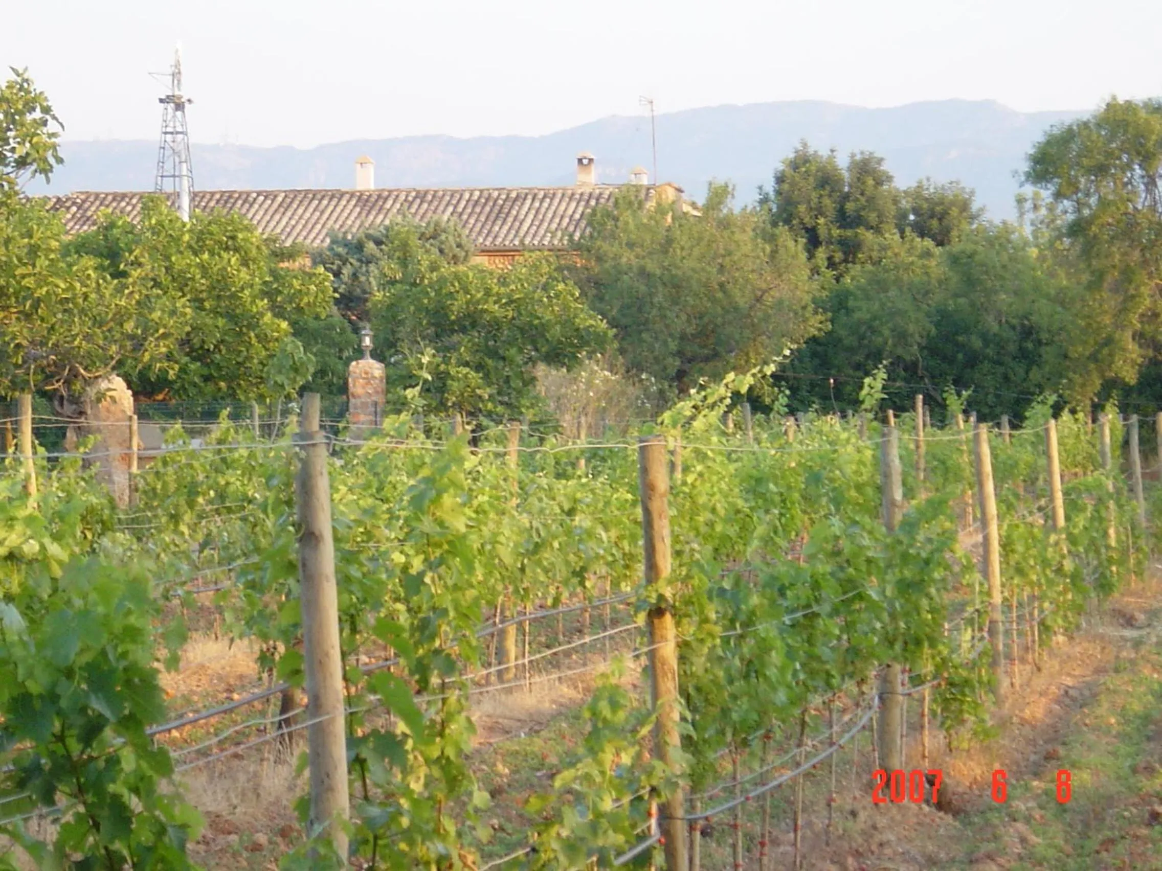 Garden in Agroturismo Es Quatre Cantons