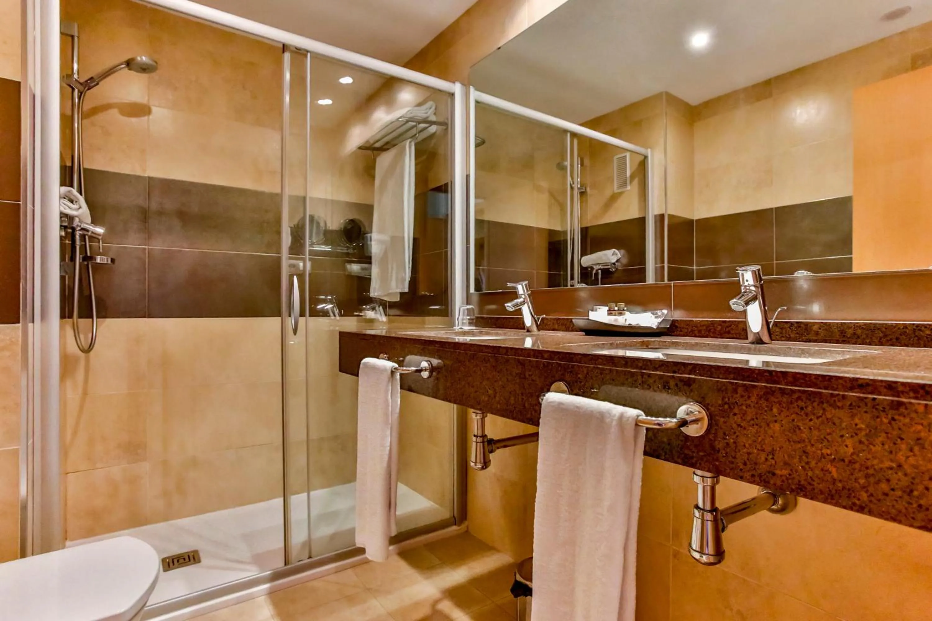 Bathroom in Hotel Desitges