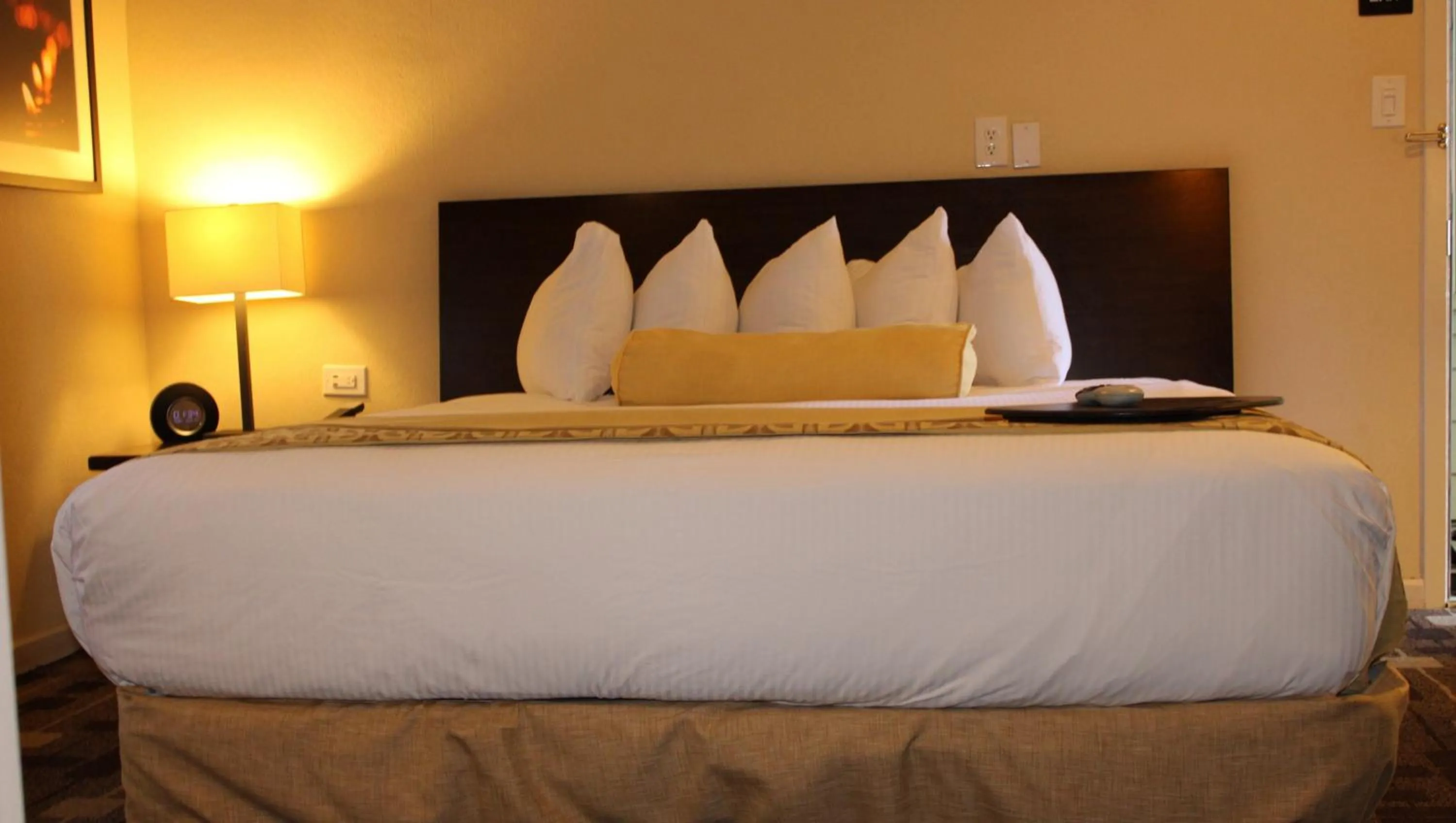 Bedroom, Bed in The Zen Hotel Palo Alto