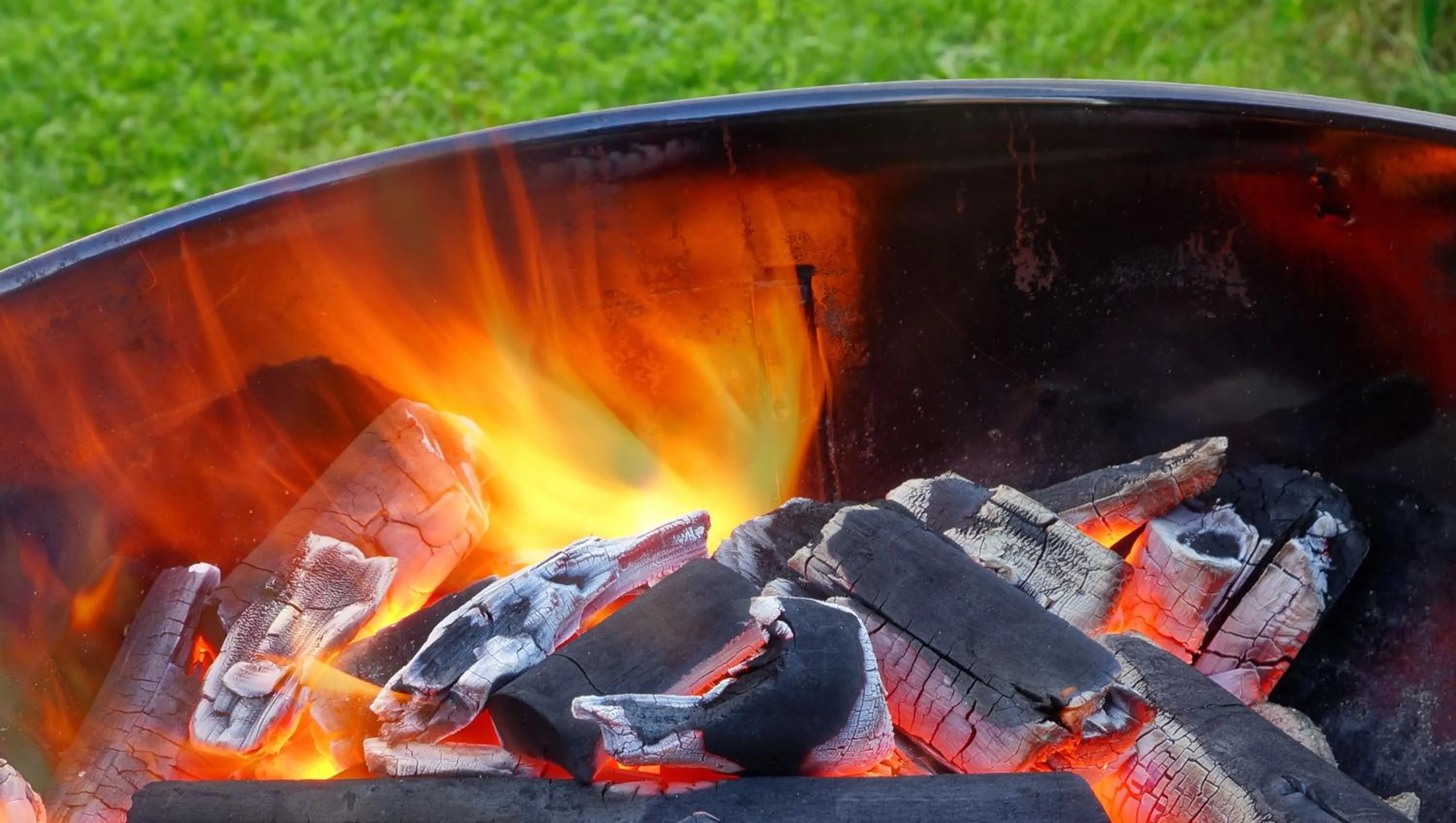 BBQ facilities in The Zen Hotel Palo Alto