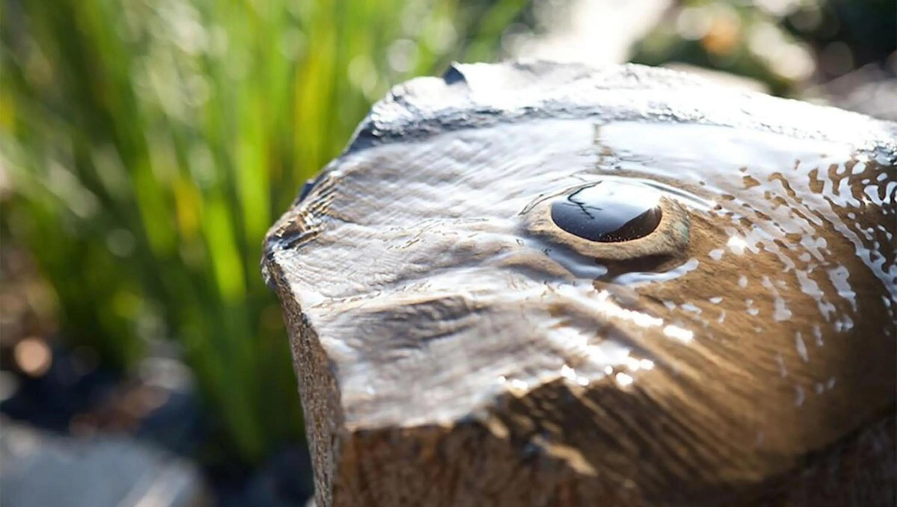 Property building in The Zen Hotel Palo Alto