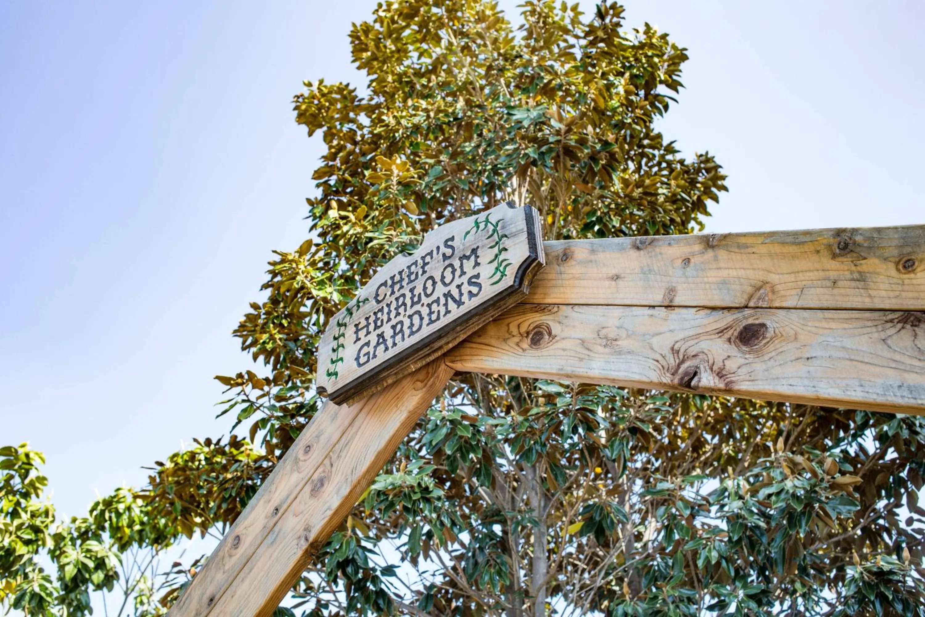 Restaurant/places to eat in Napa Valley Marriott Hotel & Spa