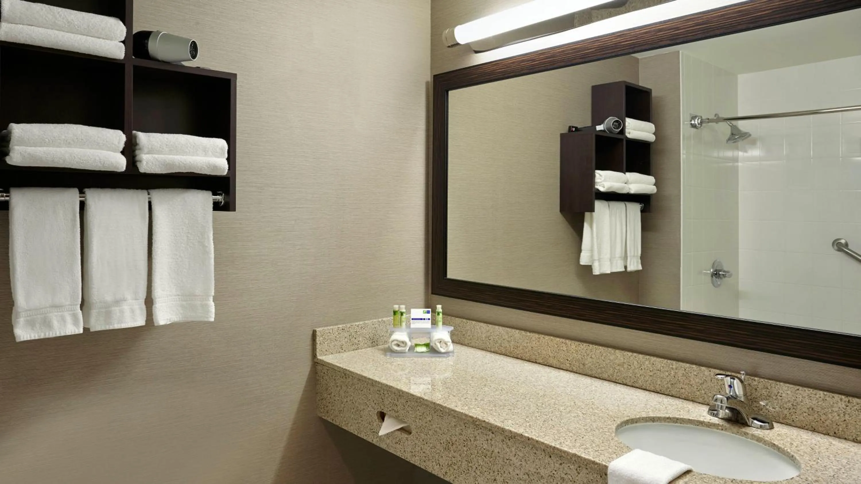 Bathroom in Holiday Inn Express & Suites Naples Downtown - 5th Avenue by IHG