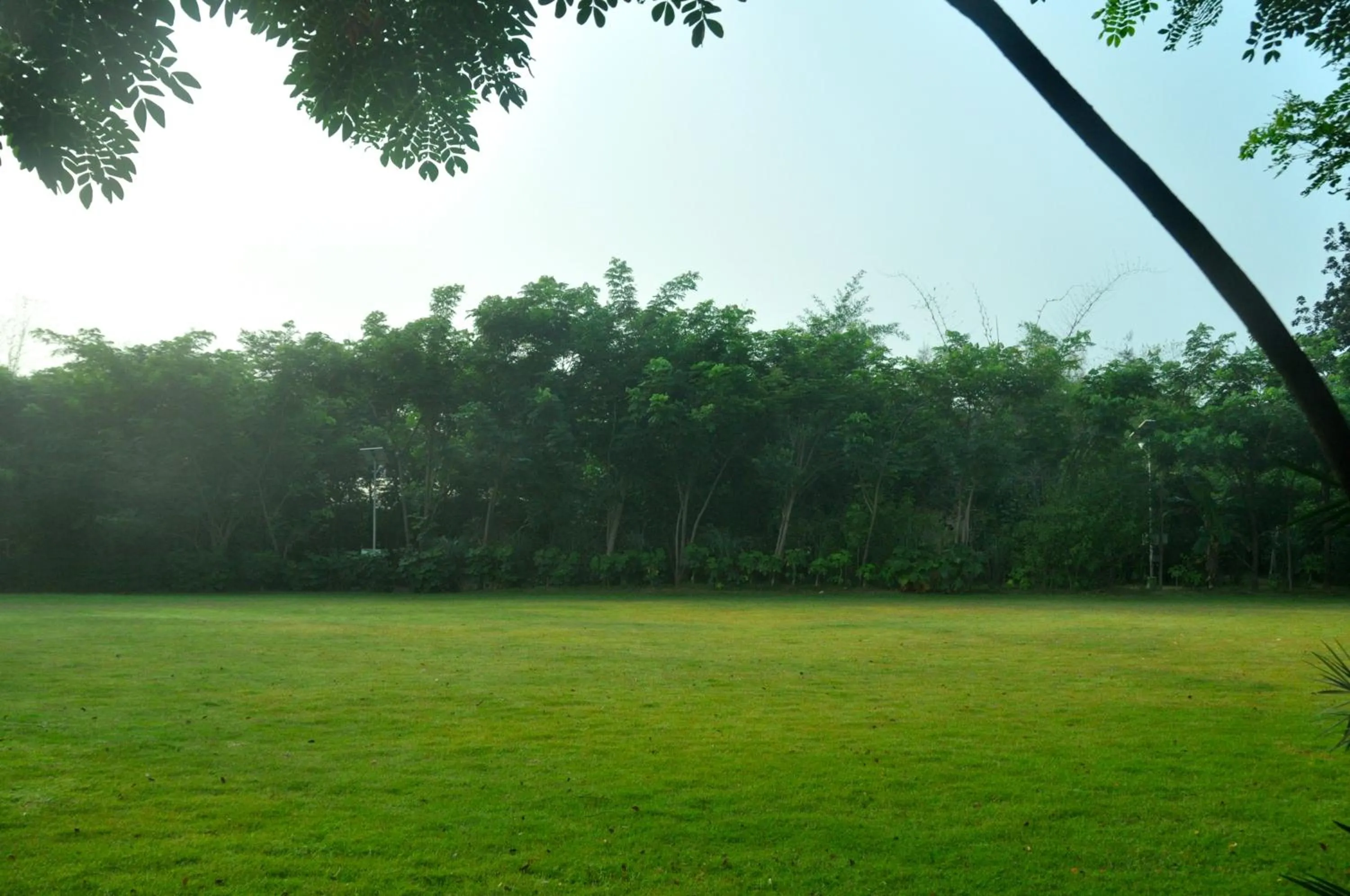 Garden in The Riverwood Forest Retreat Pench