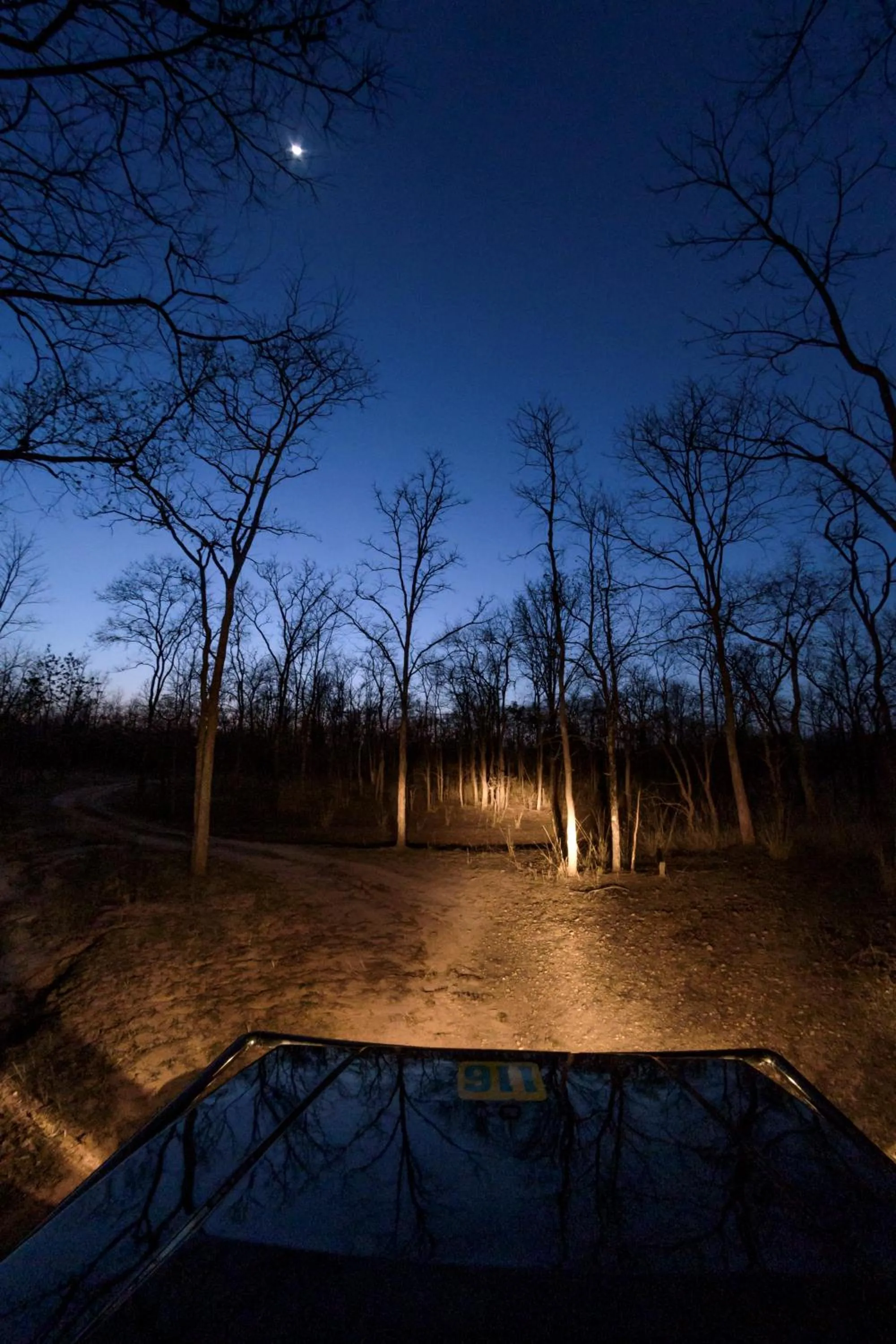 Natural landscape in The Riverwood Forest Retreat Pench