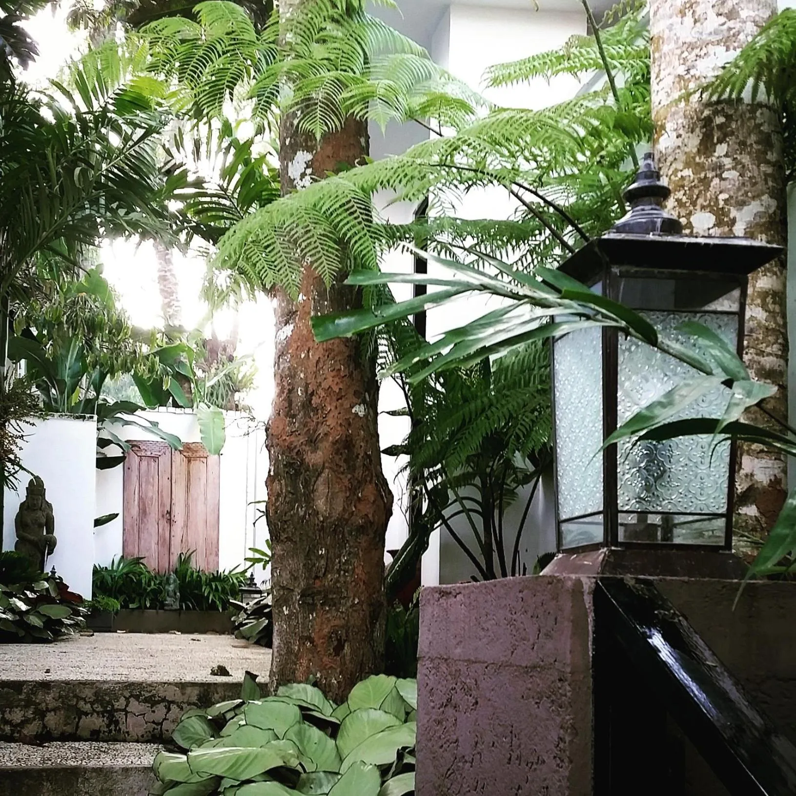 Other in 11 on Kajeng