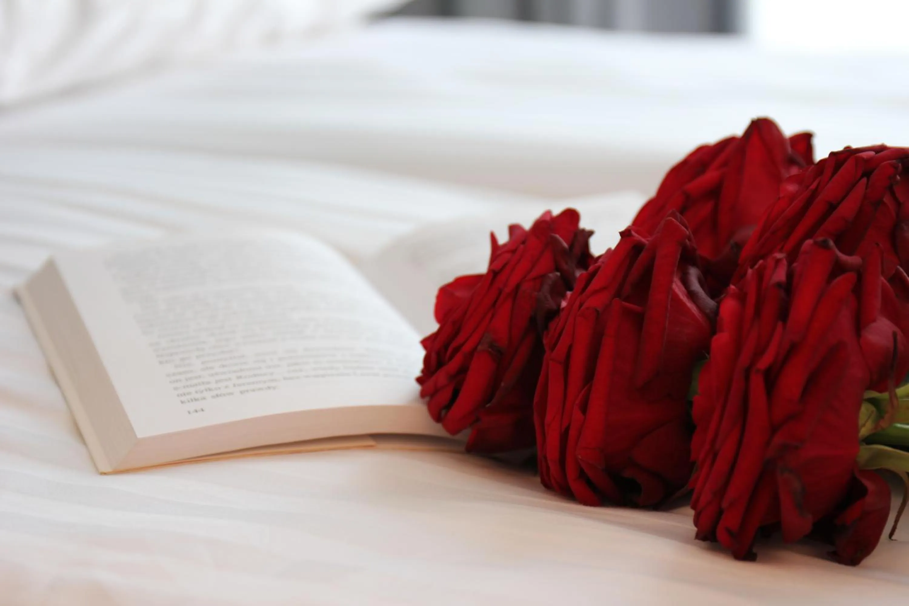 Other, Bed in Apartamenty Sowa Gdańsk