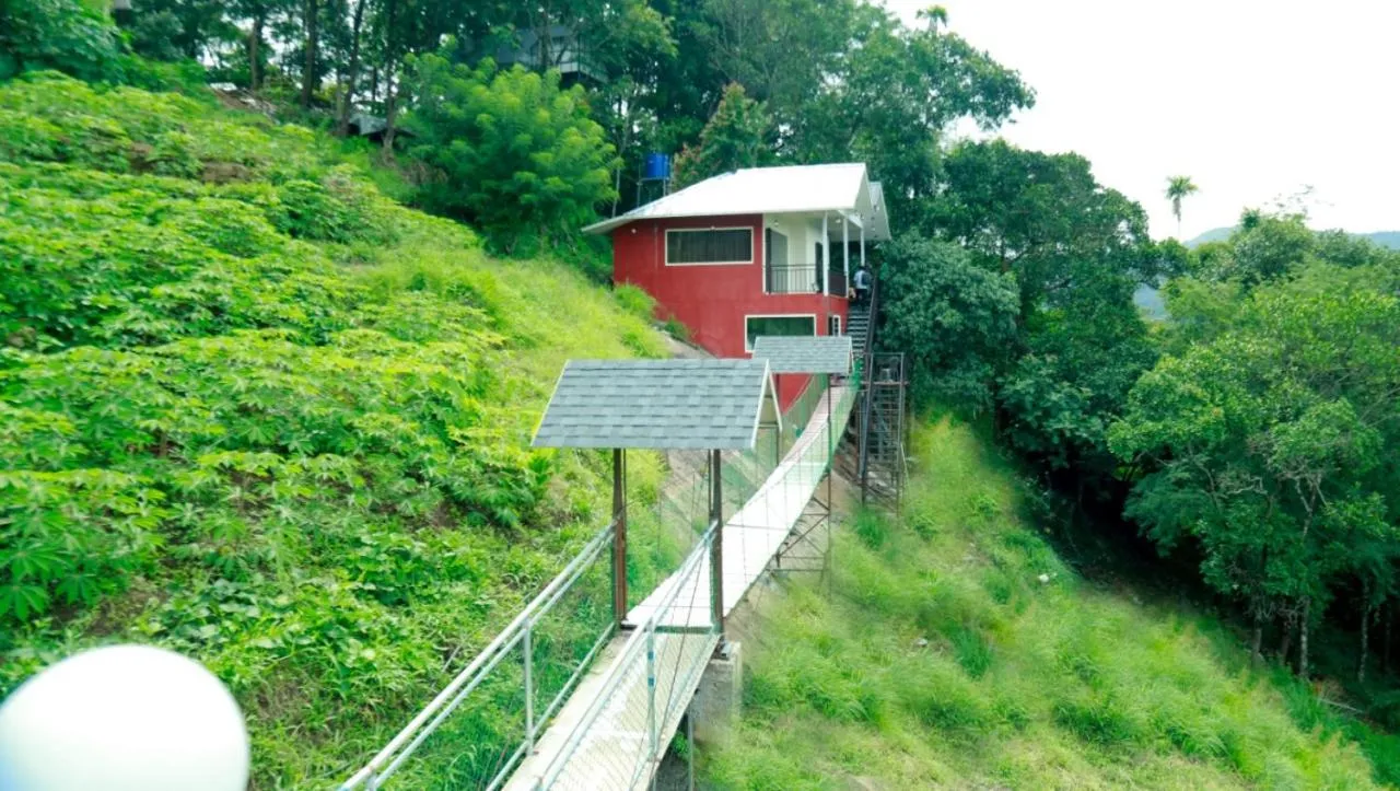 MGS Residency