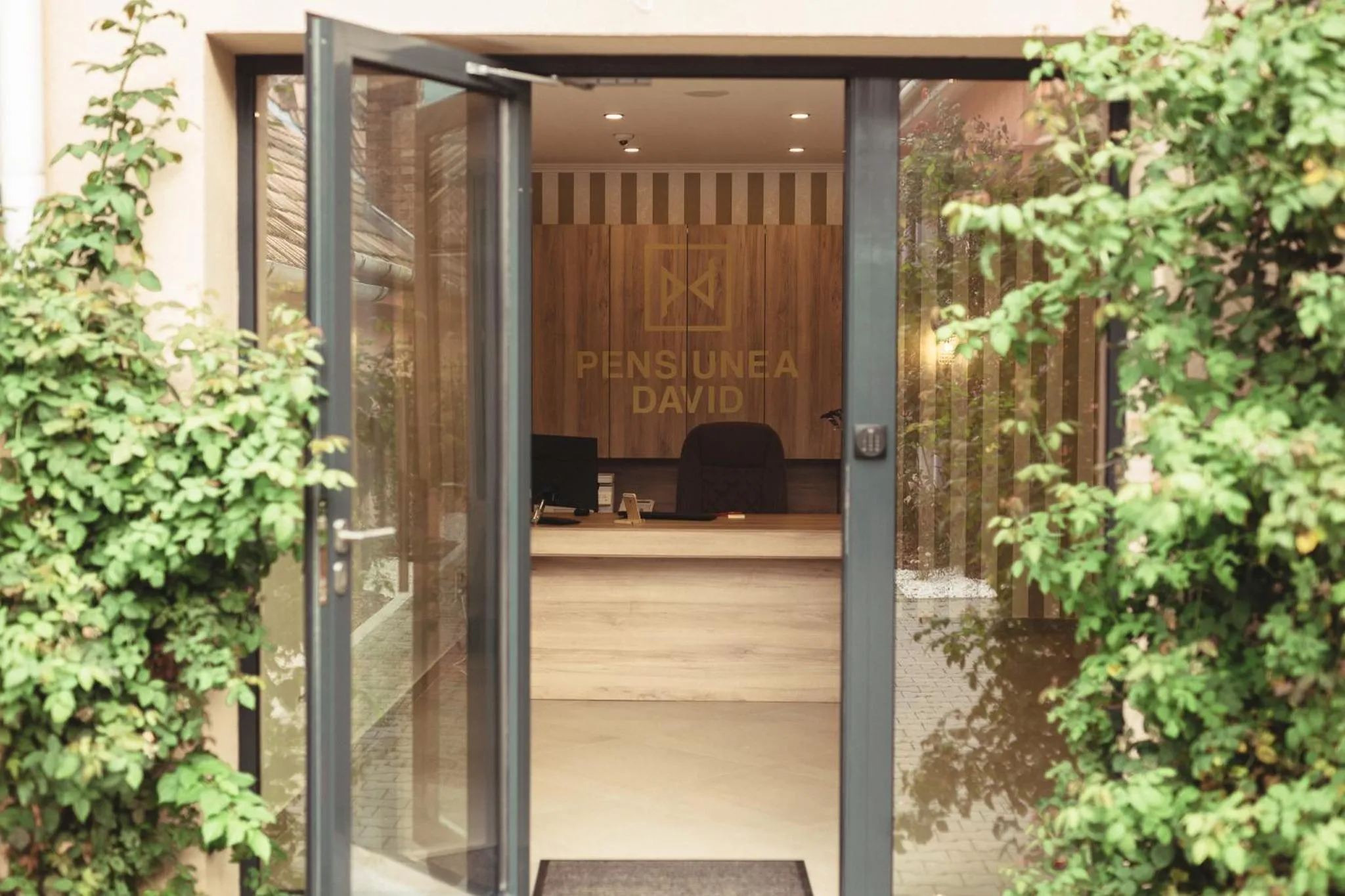Pensiunea David