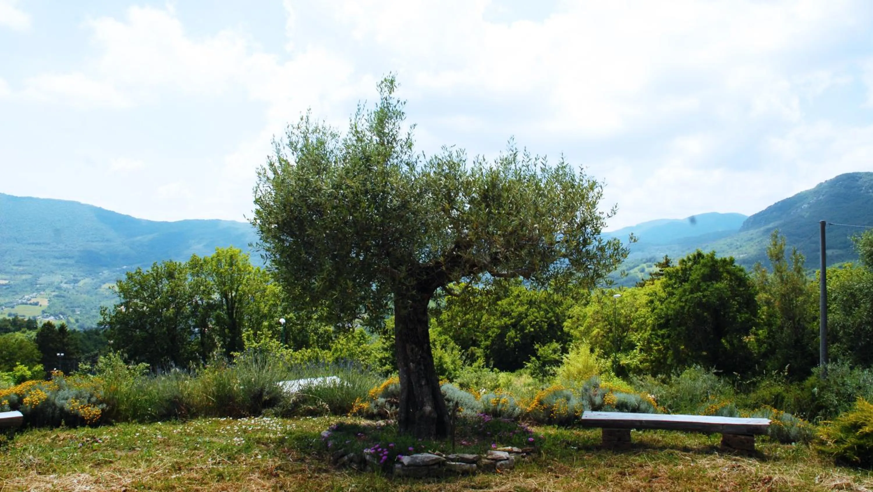Garden in B&B La Montagna Rosa
