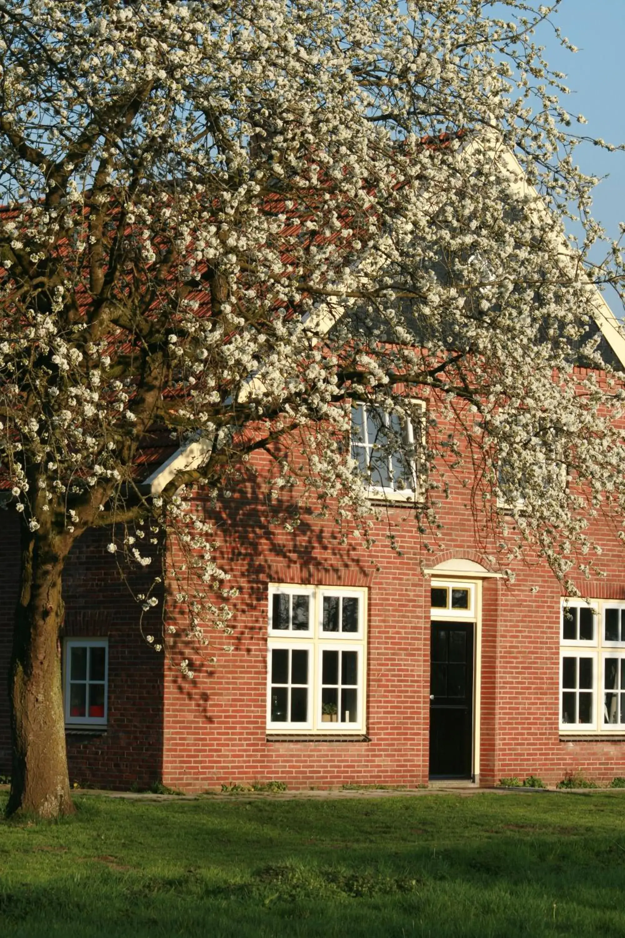 B&B Erve ten Dam B&B Erve ten Dam