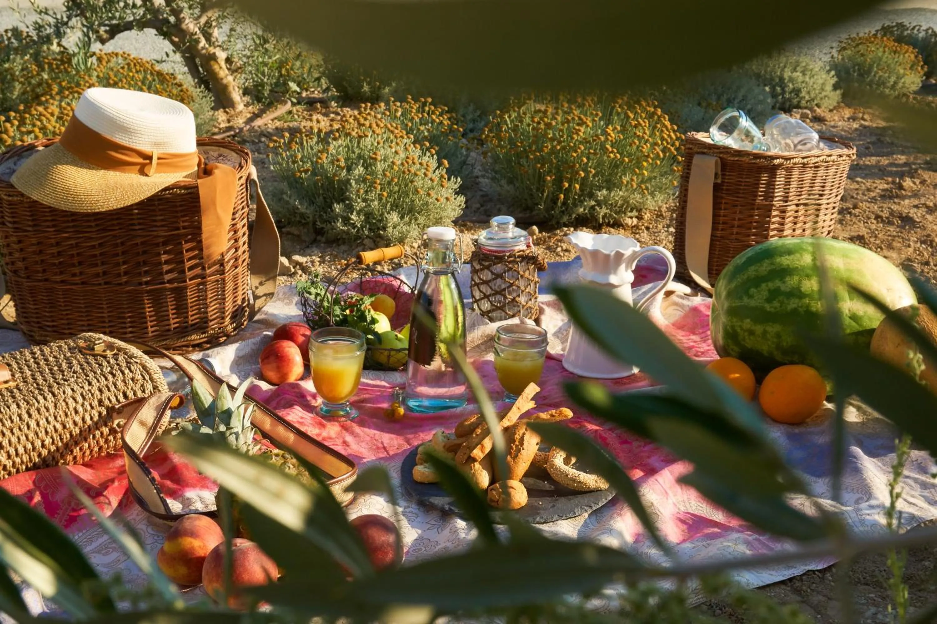 Entertainment in Aelia Wellness Retreat