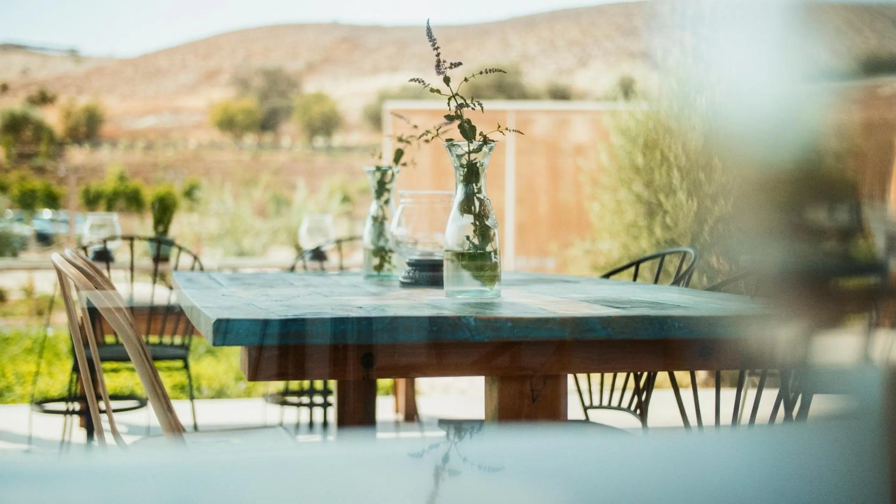 Day in Aelia Wellness Retreat