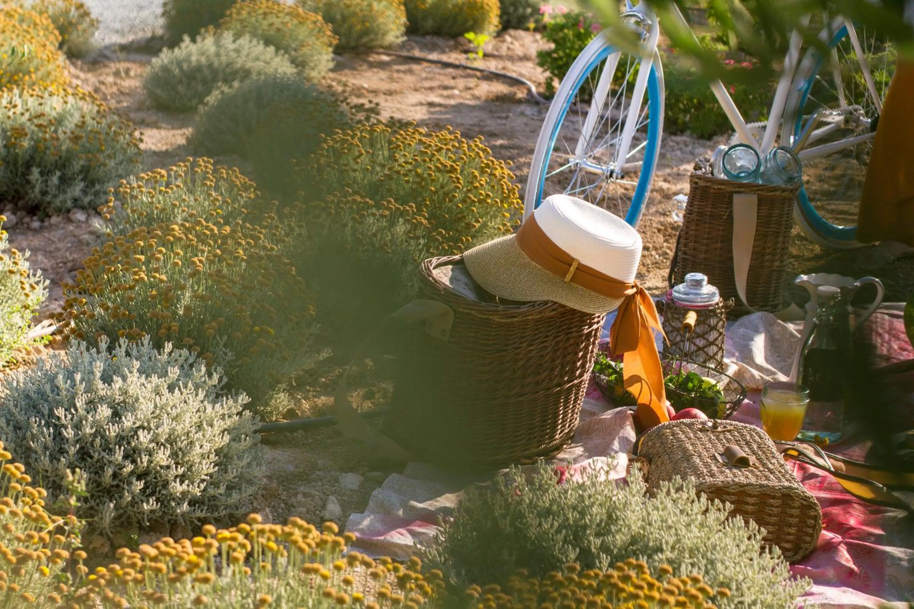 Restaurant/places to eat in Aelia Wellness Retreat