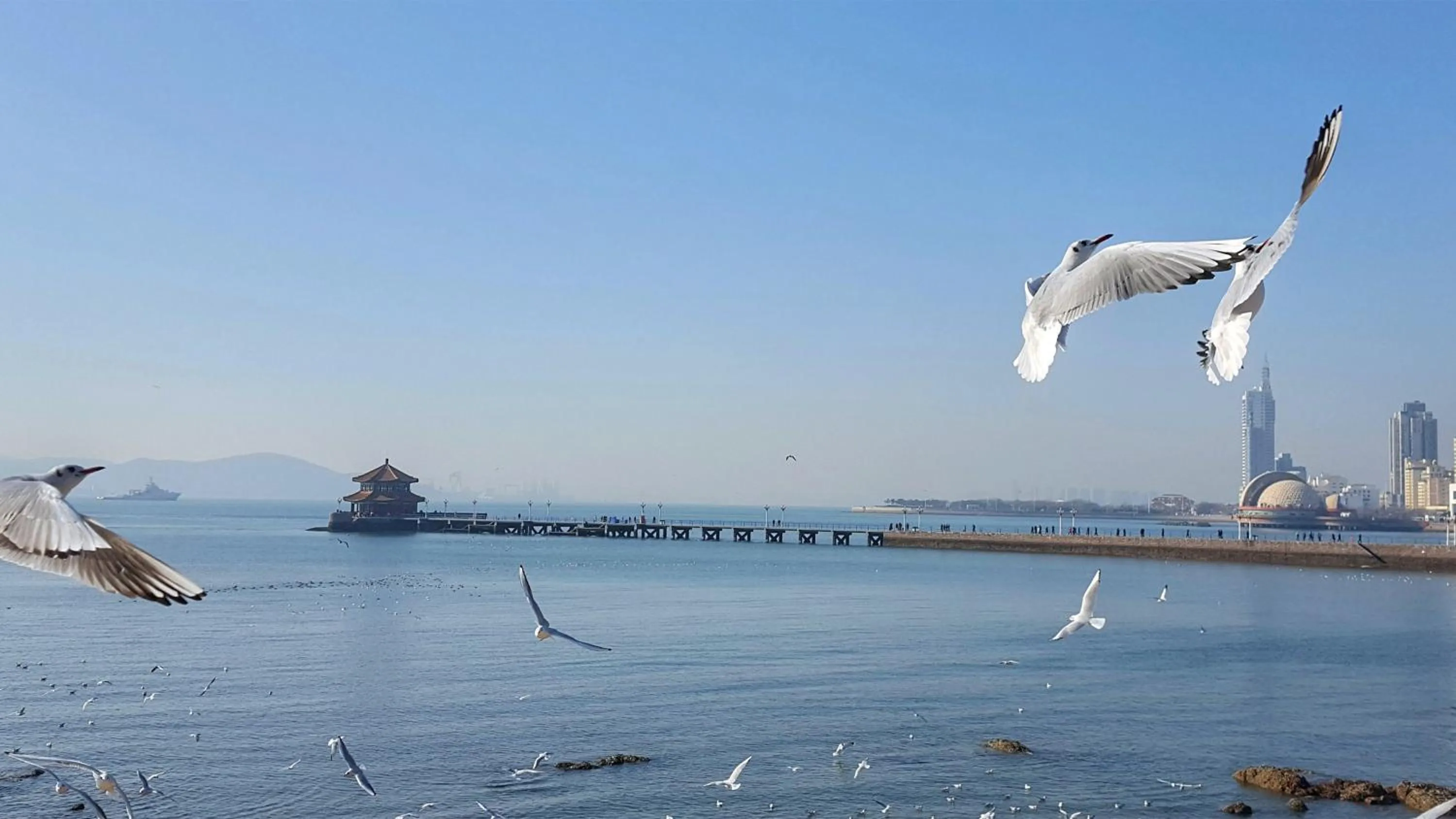 Nearby landmark in InterContinental Qingdao by IHG l Inside the Olympic Sailing Center l May Fourth Square