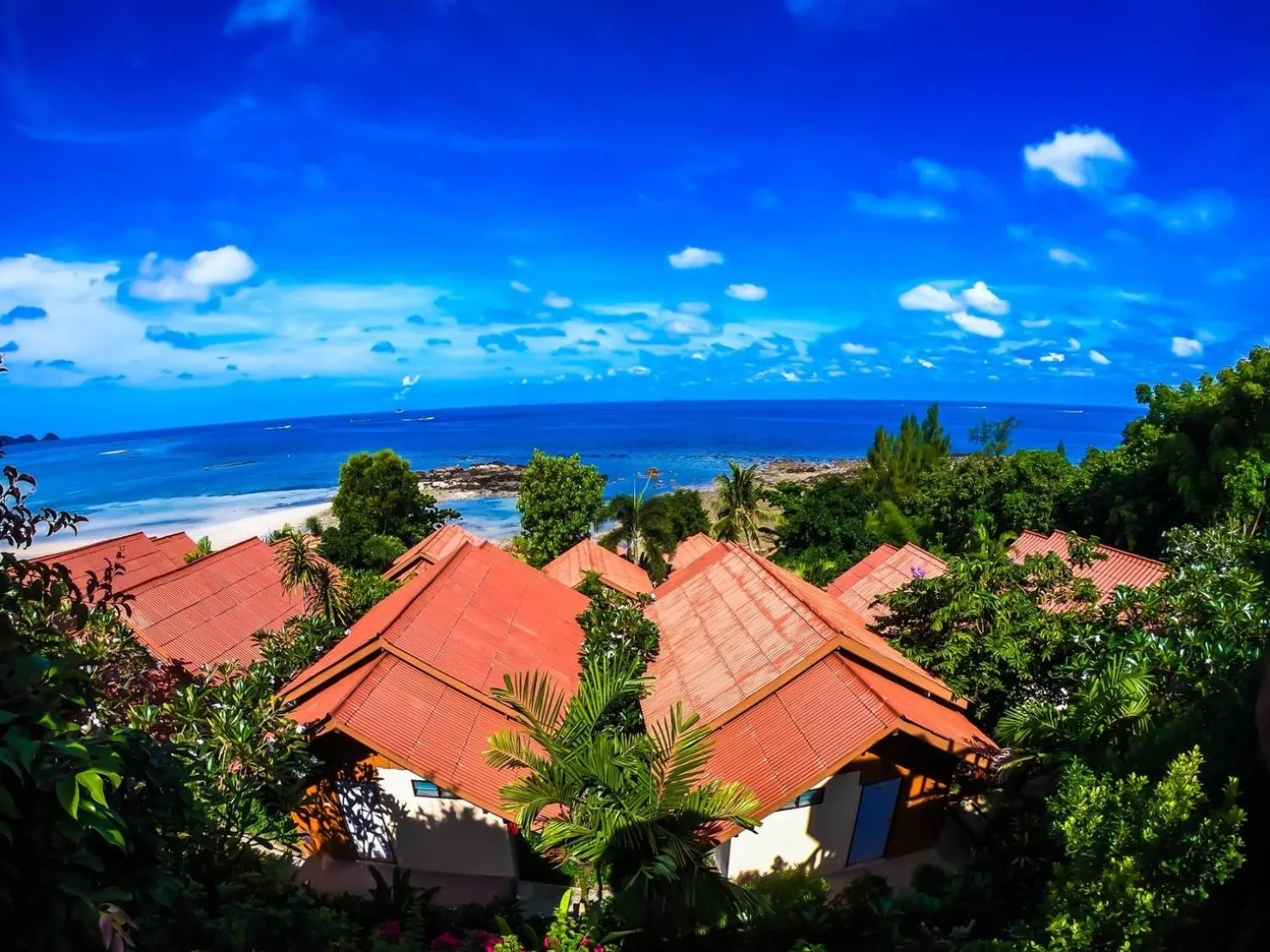Pool view in Zama Resort Koh Phangan