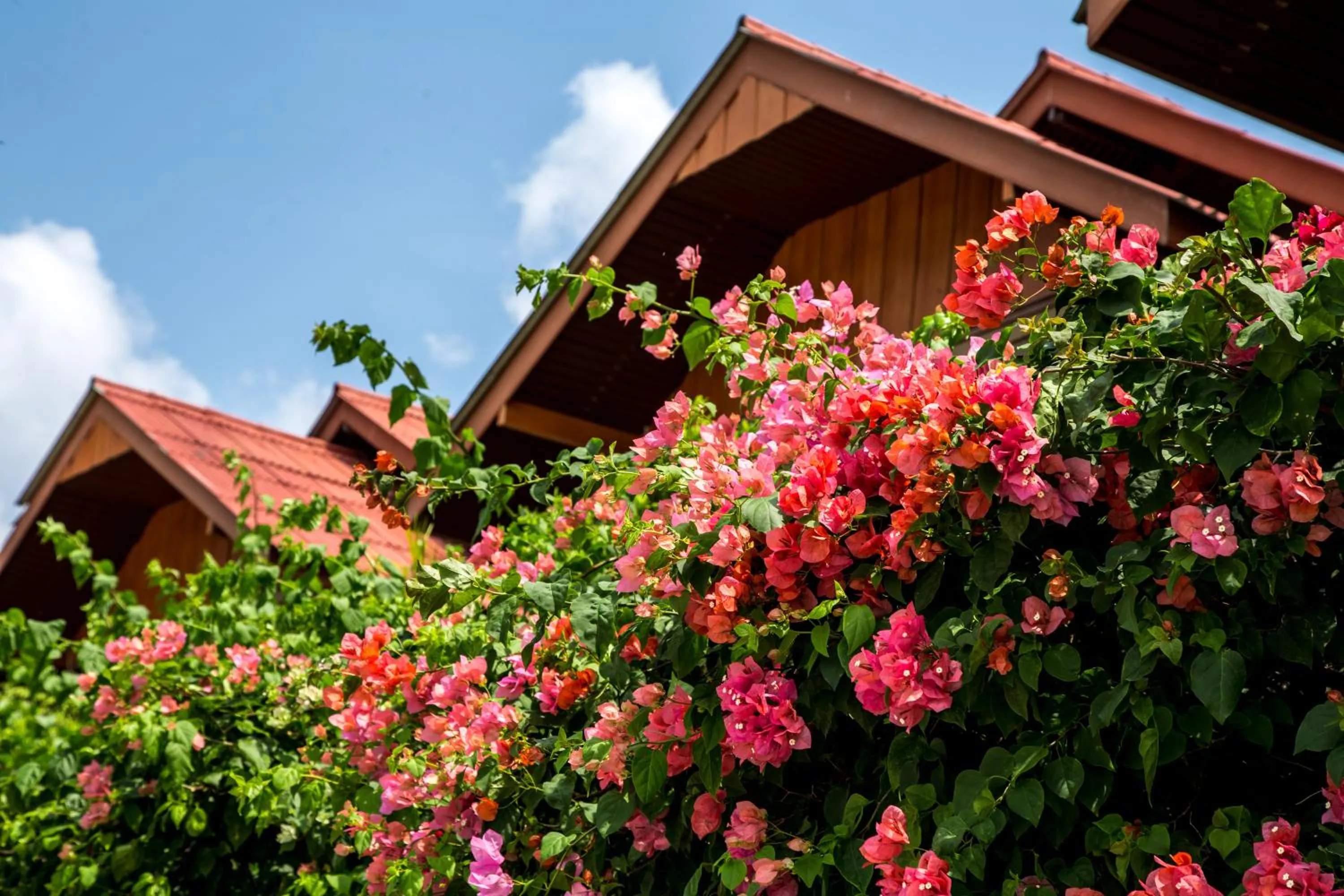Facade/entrance in Zama Resort Koh Phangan