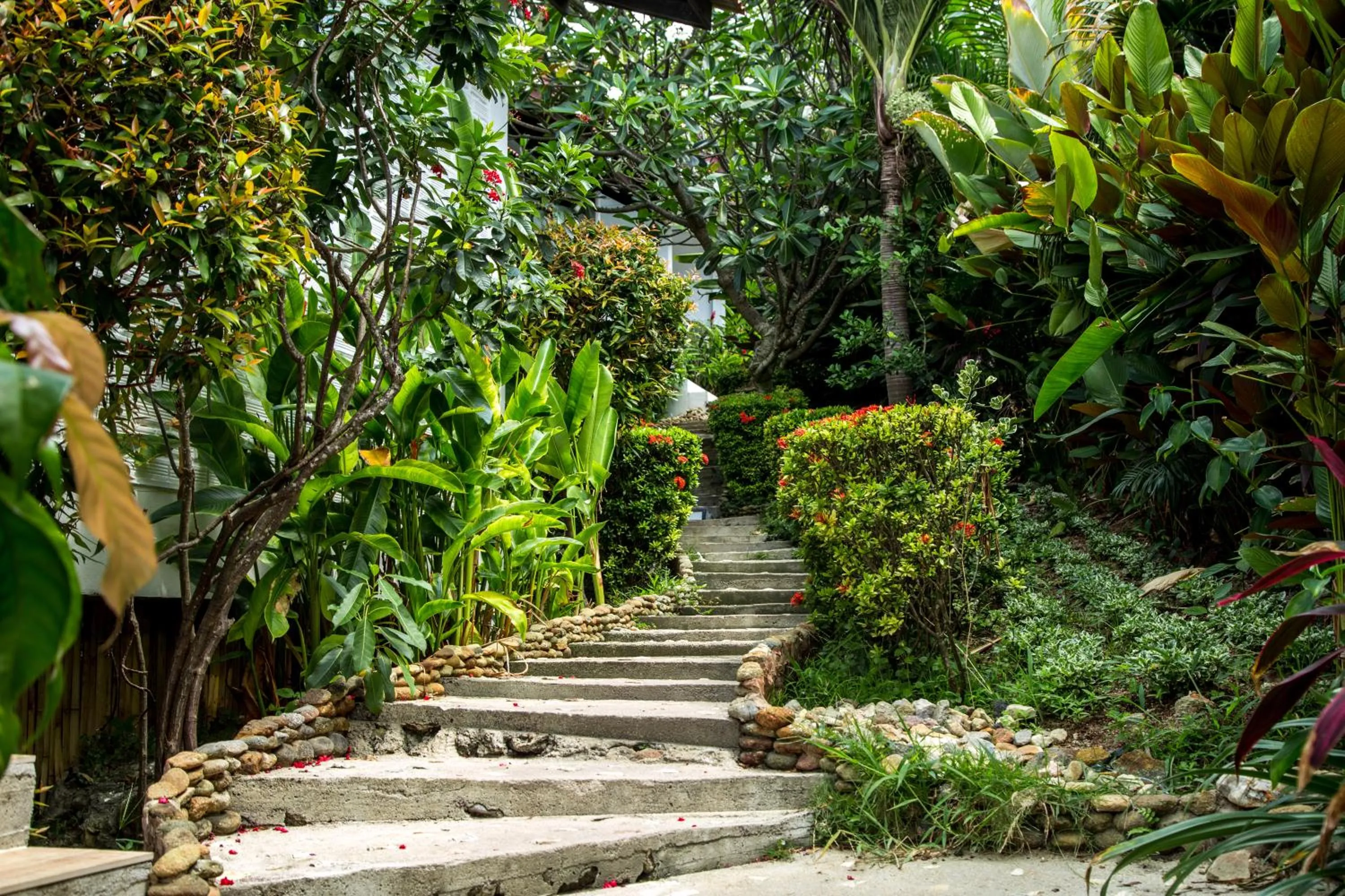 Garden in Zama Resort Koh Phangan