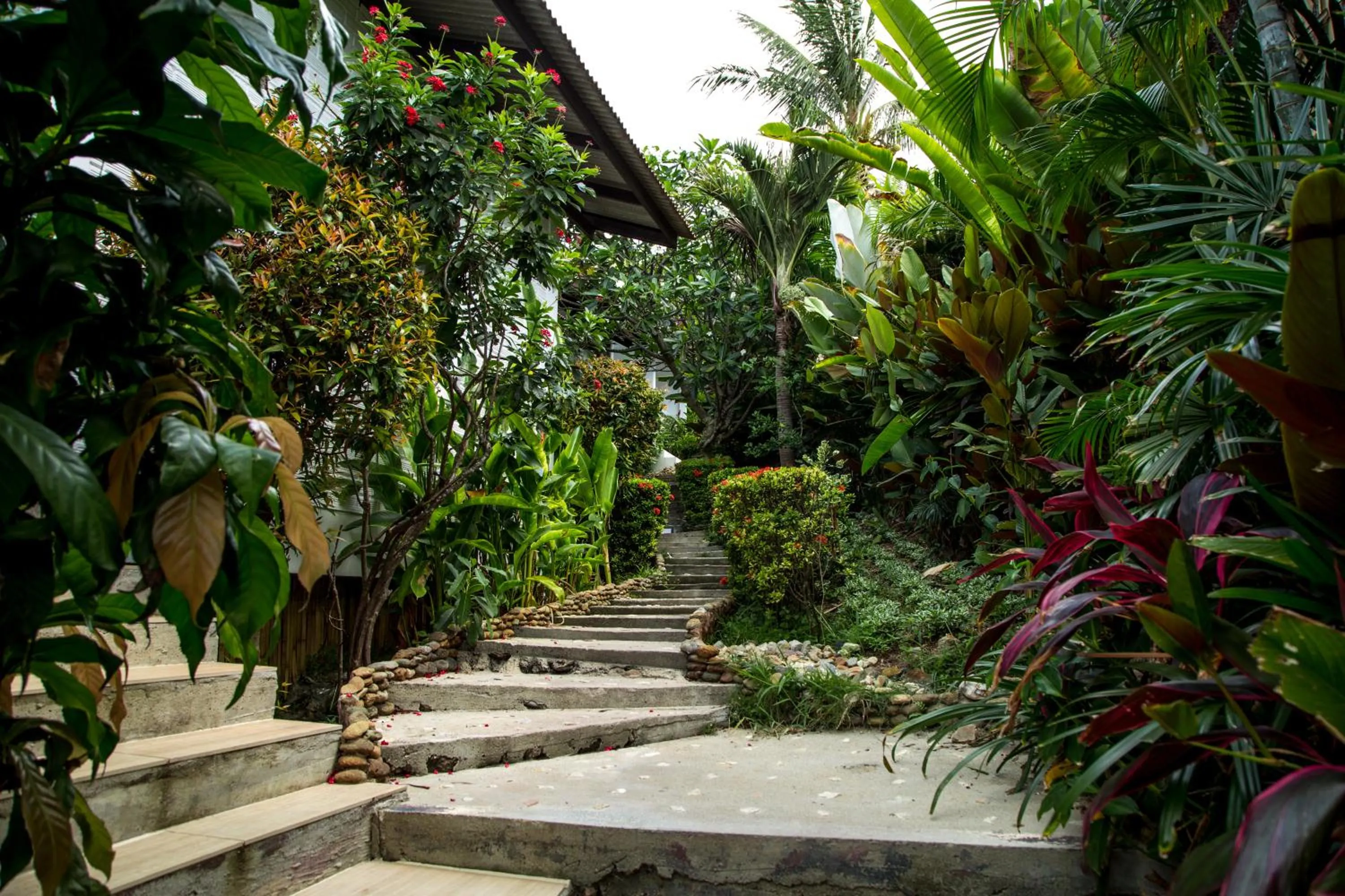 Property building in Zama Resort Koh Phangan