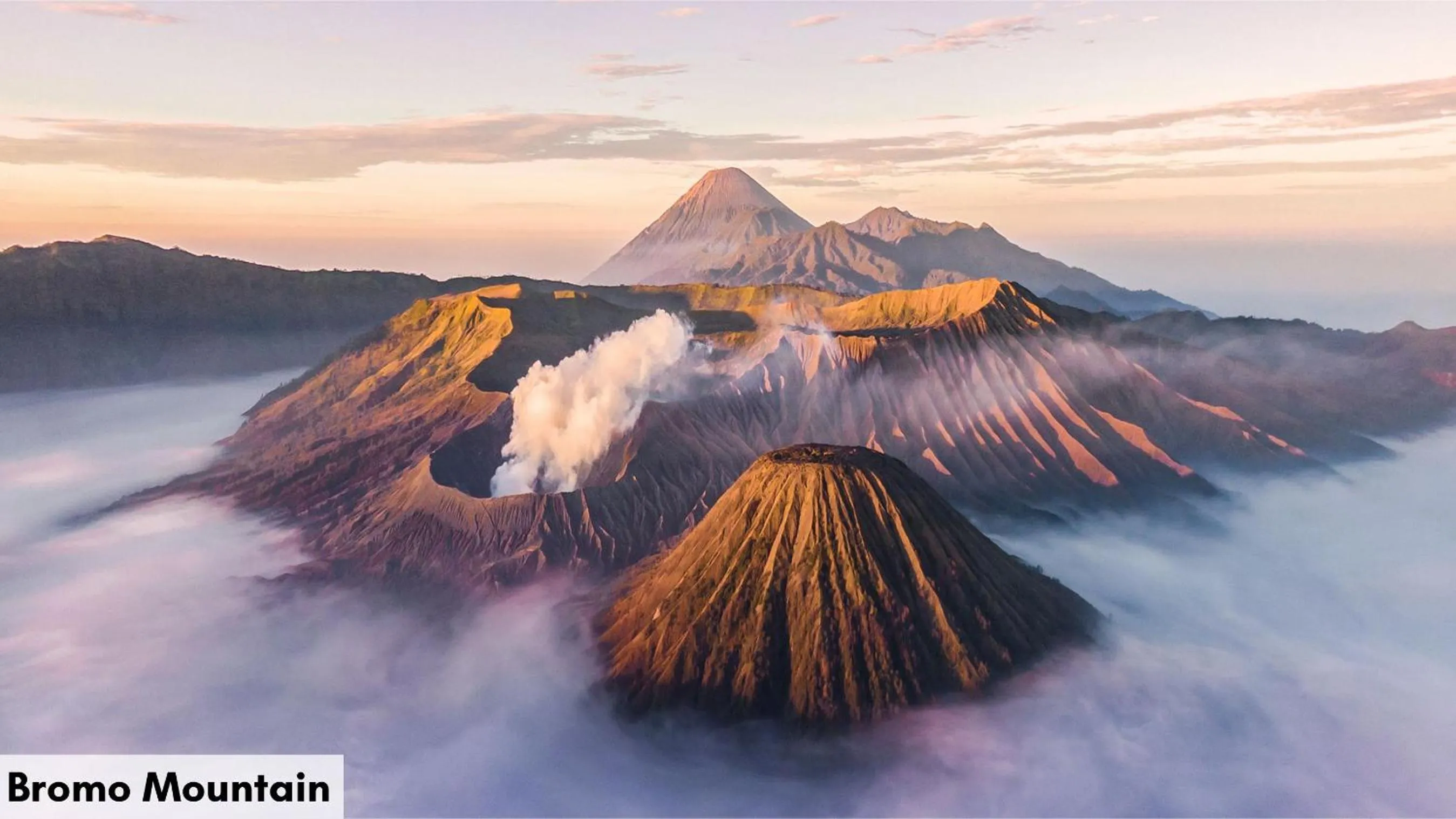 Other in Swiss-Belinn Airport Surabaya