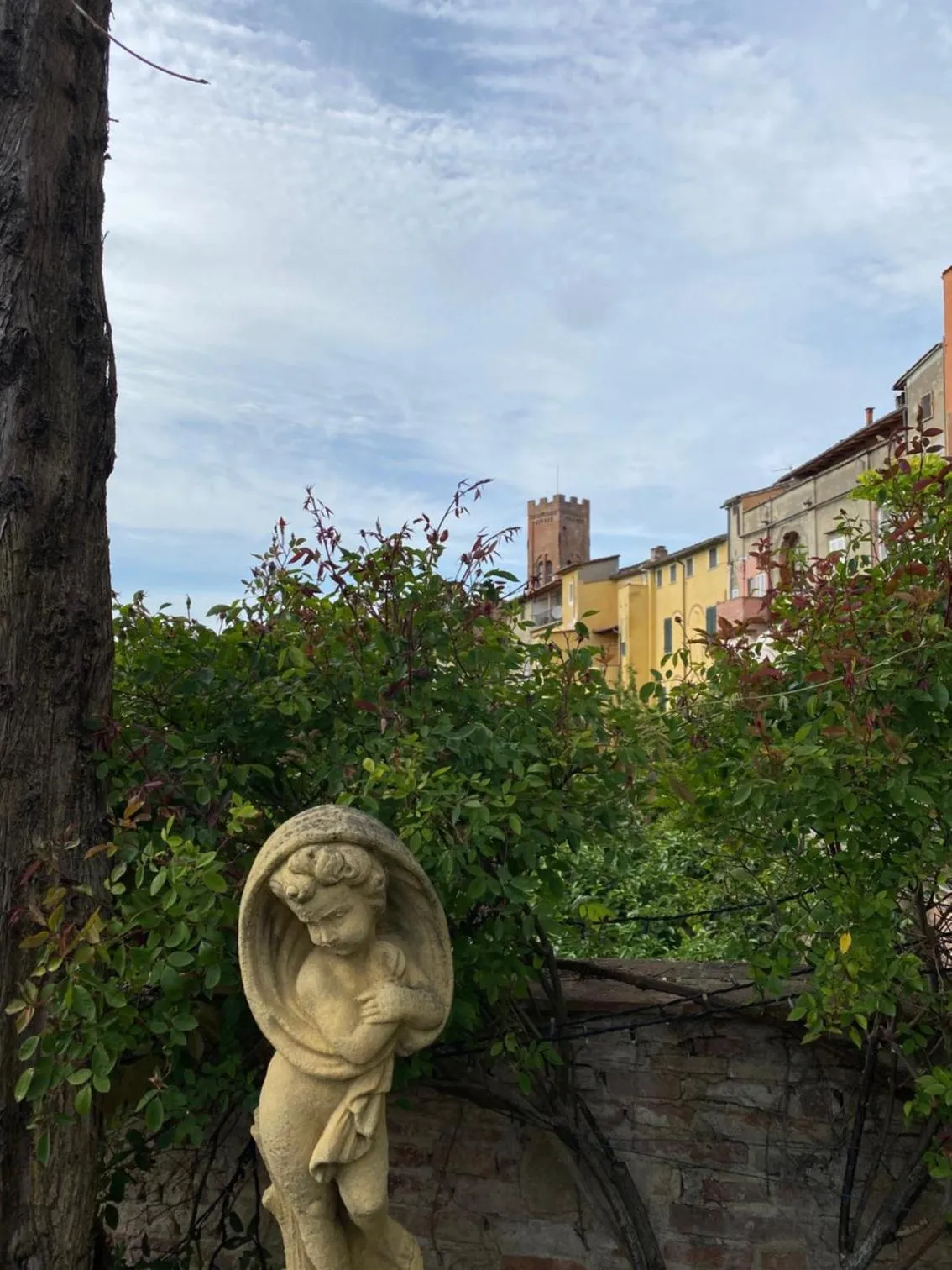 Natural landscape in Quattro Gigli Hotel