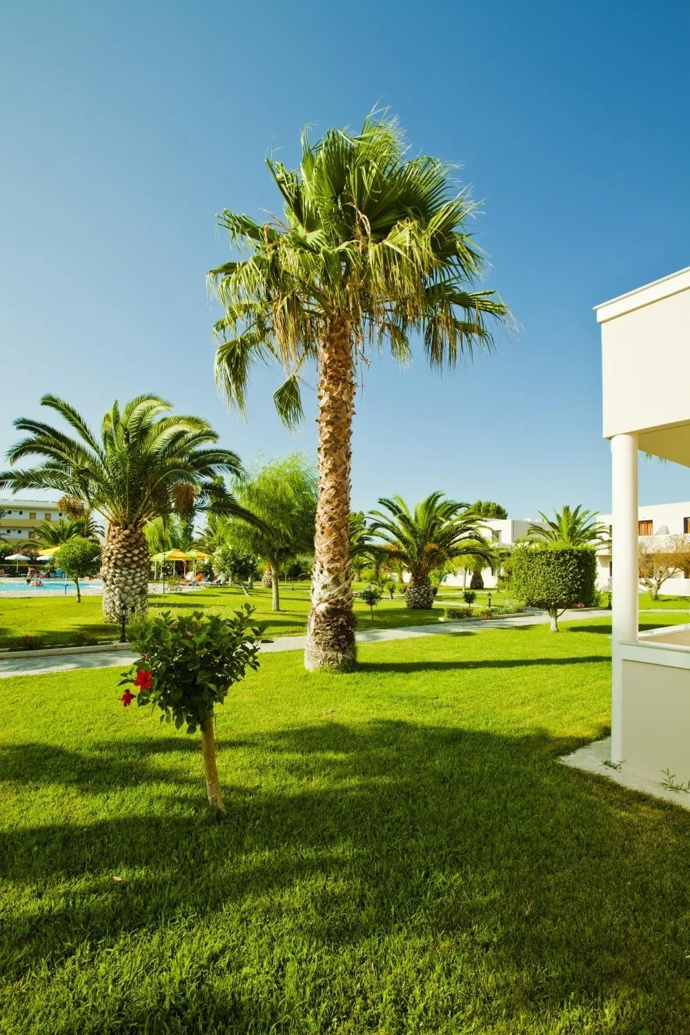 Day in Hotel Esperia