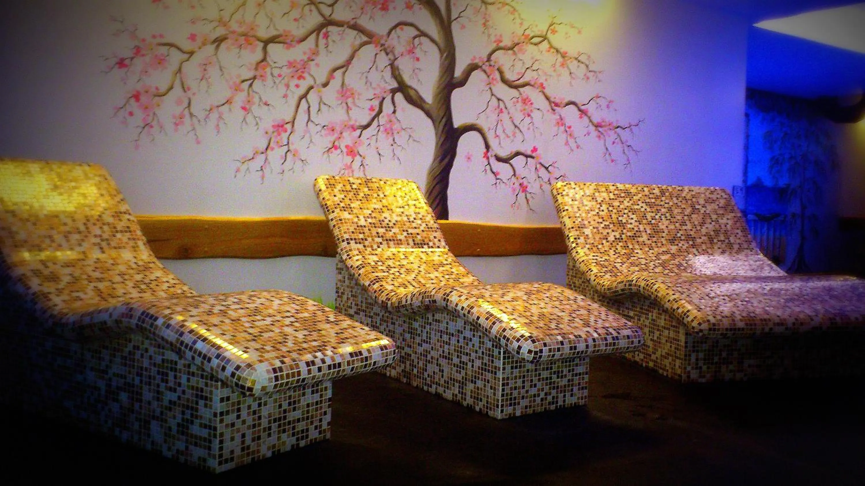 Spa and wellness centre/facilities in Lavendel Spa Hotel