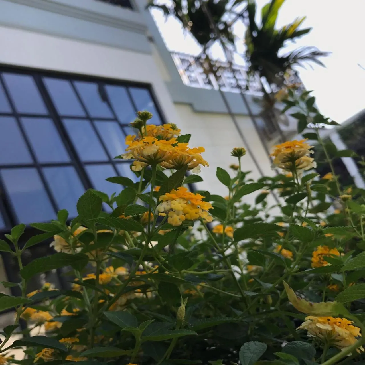 Property building in Rumah Kertajaya