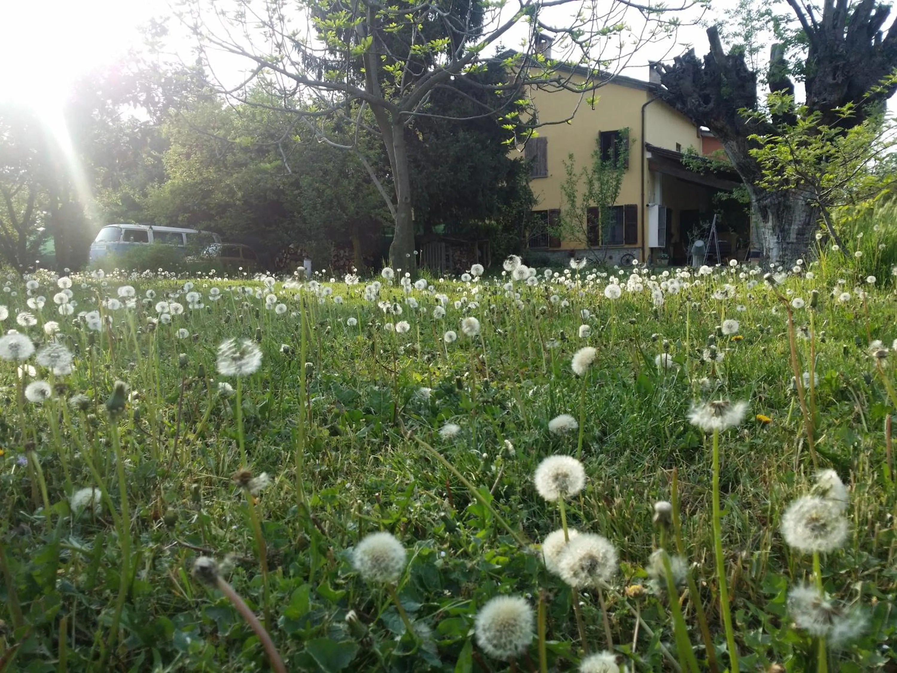 Garden in R&B Albero Cavo Parma