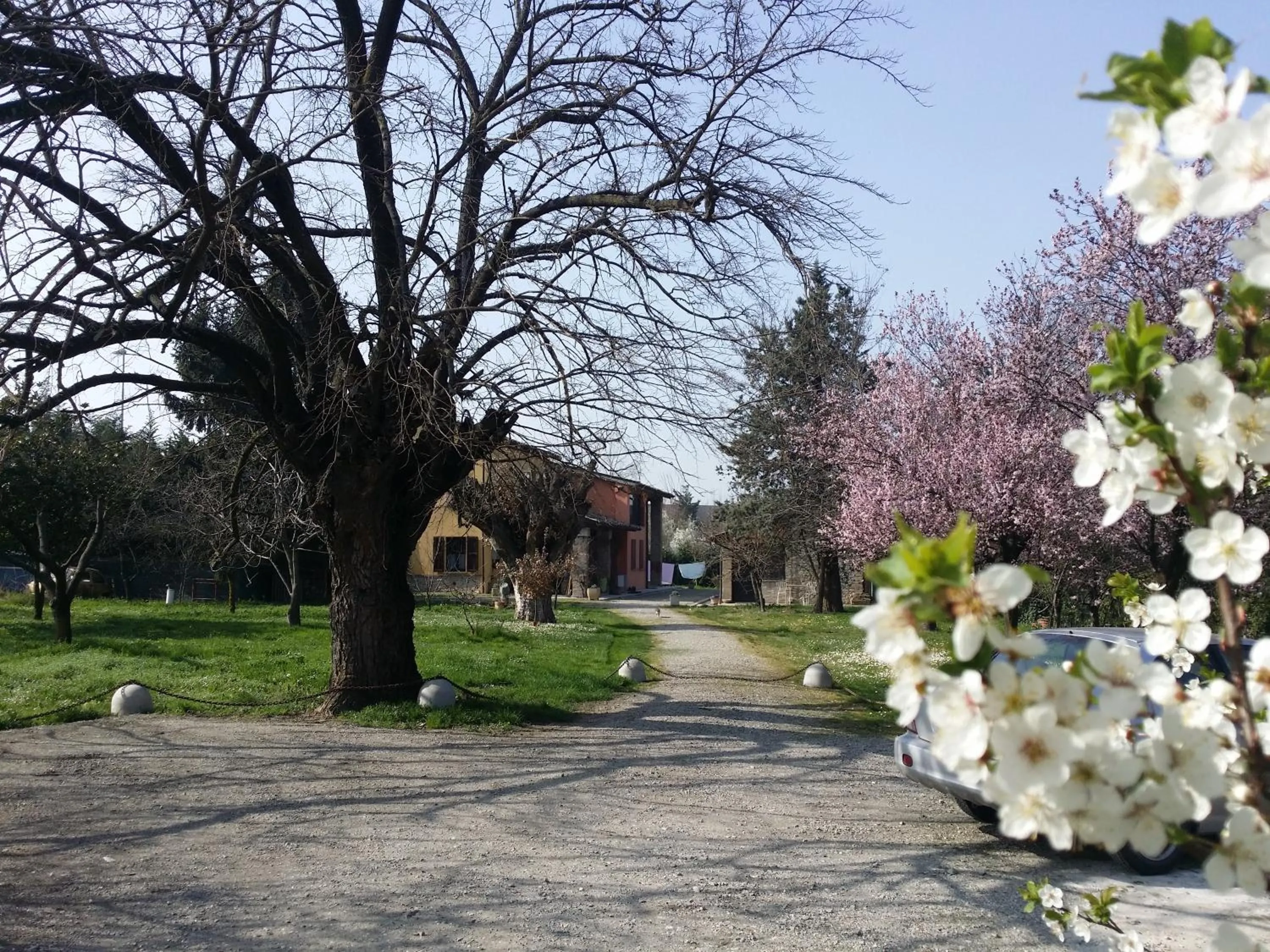 Facade/entrance in R&B Albero Cavo Parma