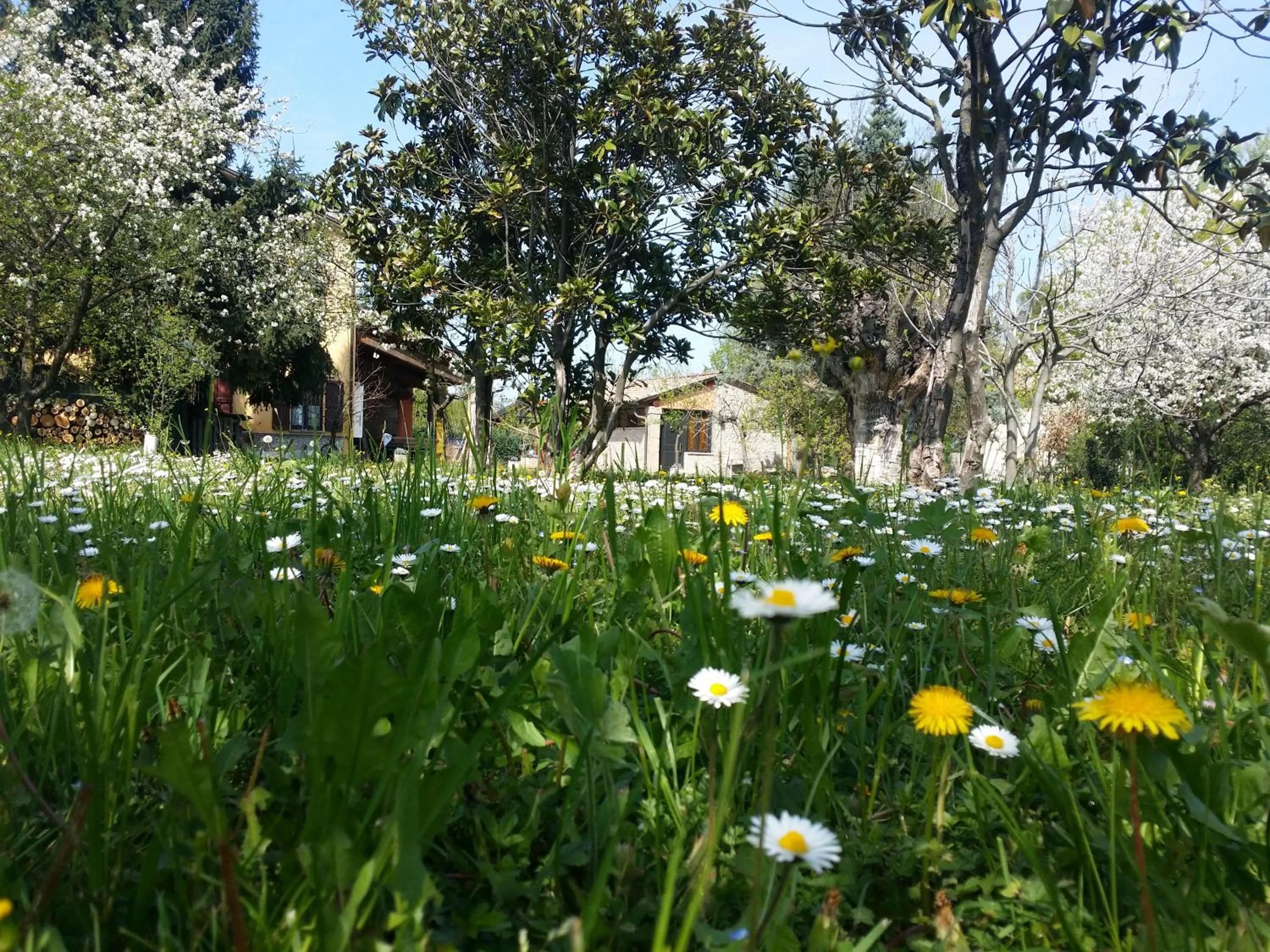 Garden in R&B Albero Cavo Parma